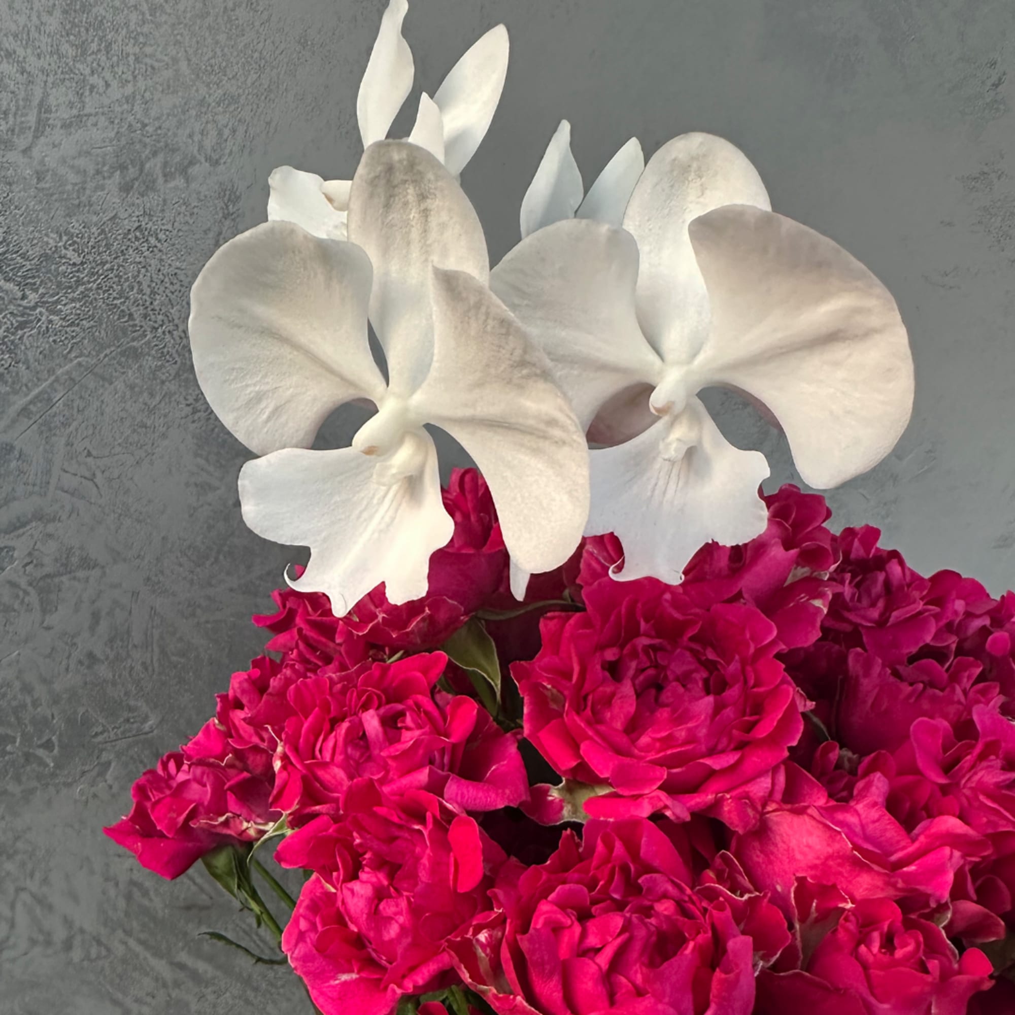 White orchids above a cluster of bright pink roses.