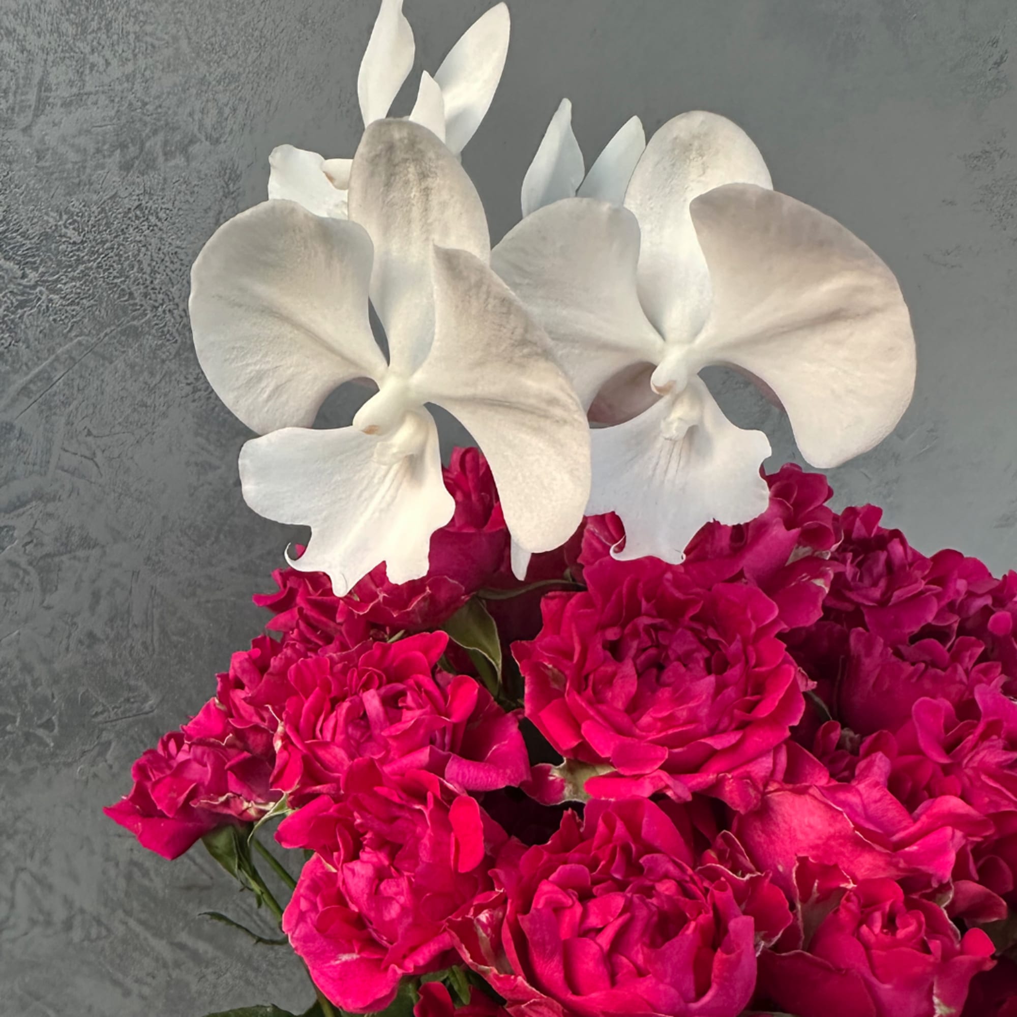 White orchids above a cluster of bright pink roses.