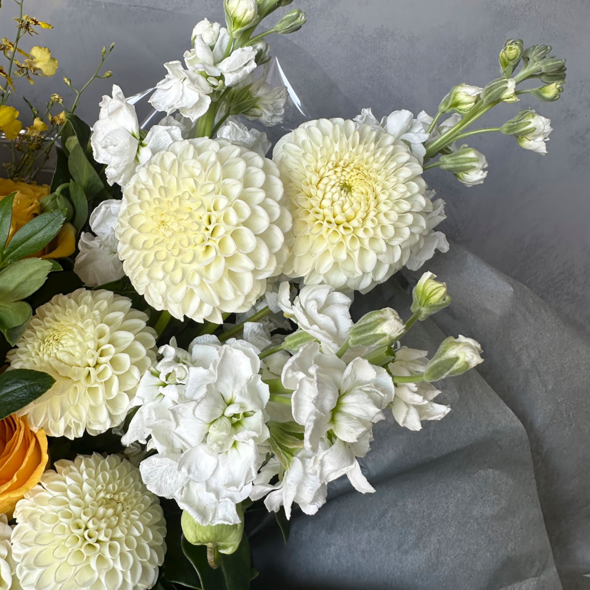Bouquet of cream dahlias and white stock flowers