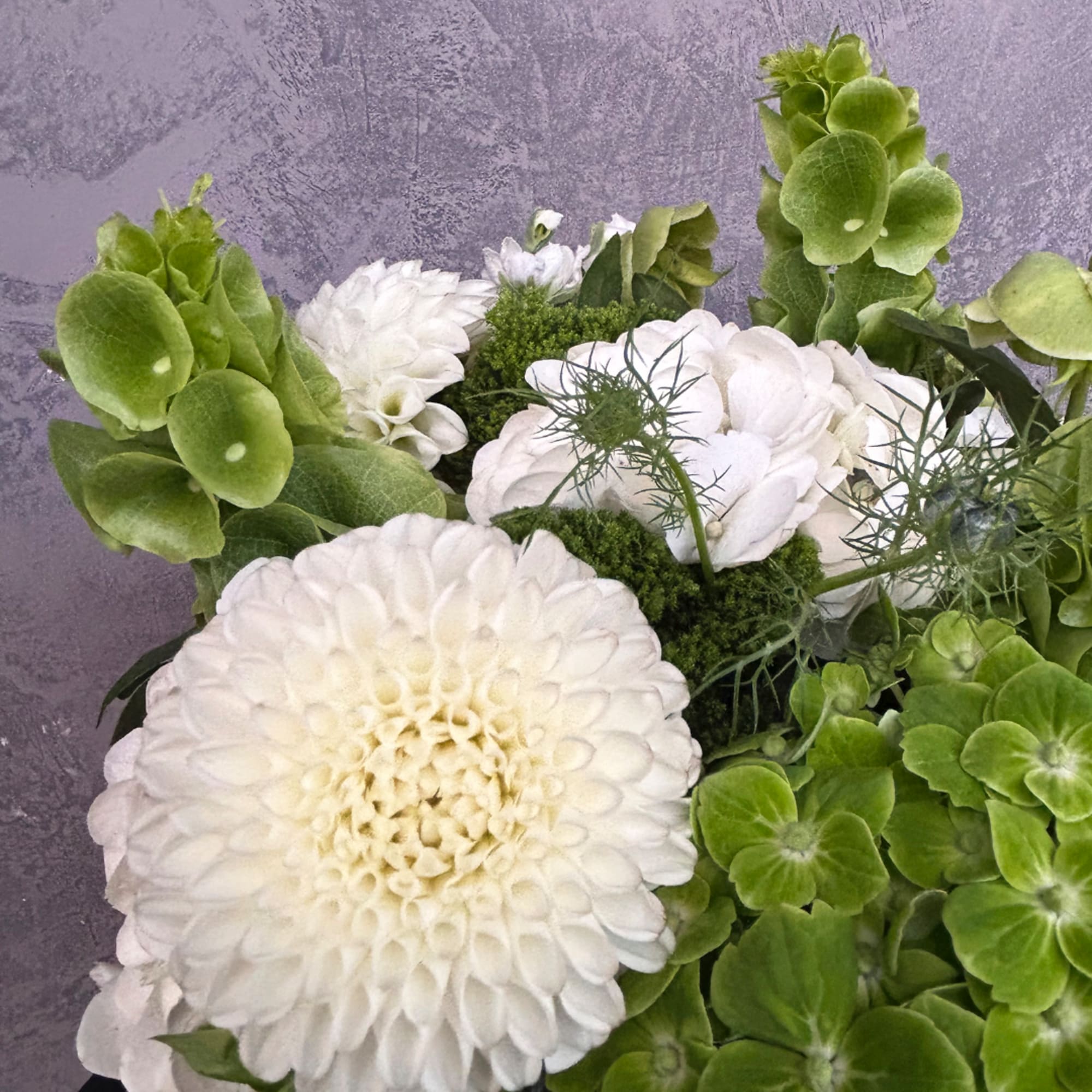 White chrysanthemums with green hydrangea in a bouquet