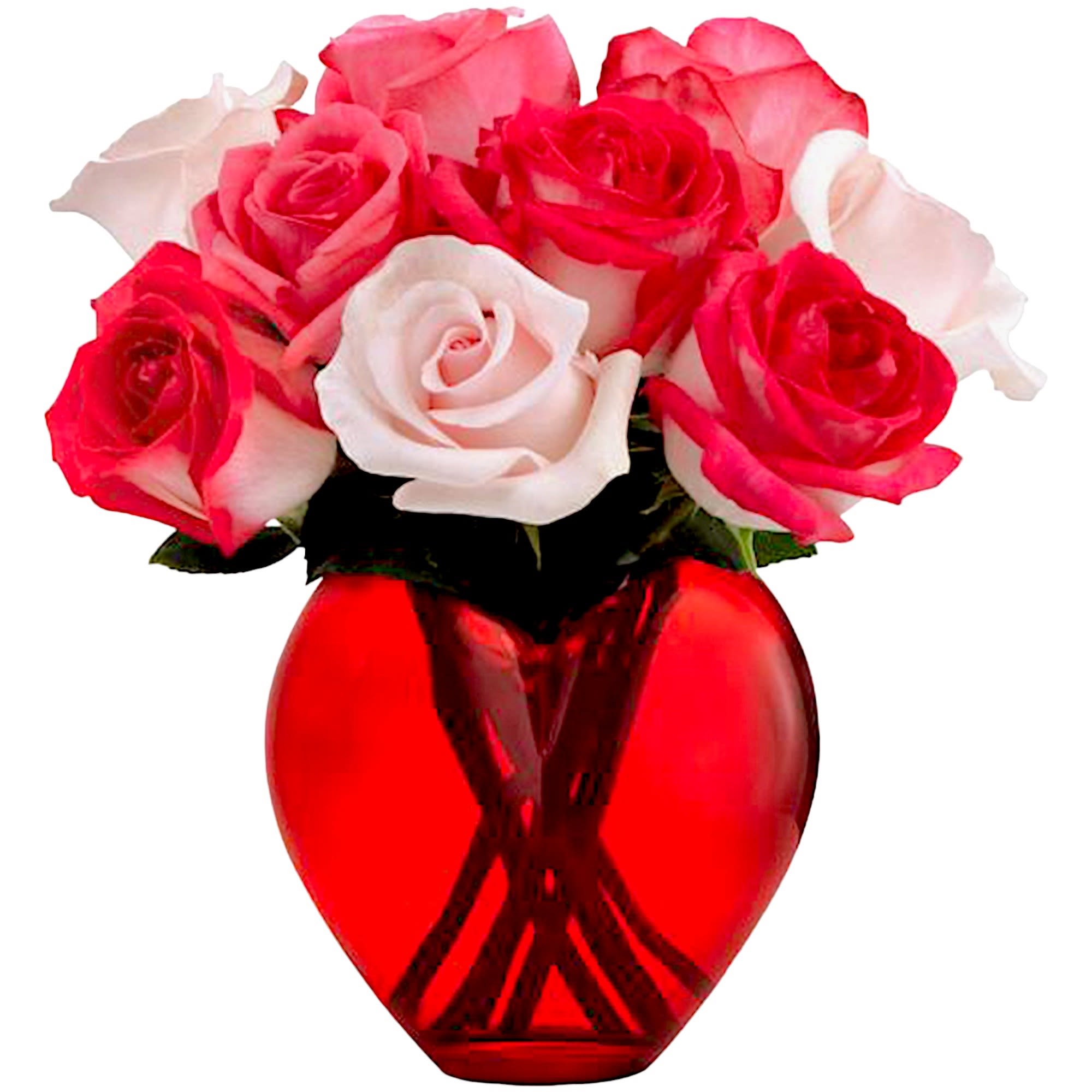 Pink and white roses in a red glass vase