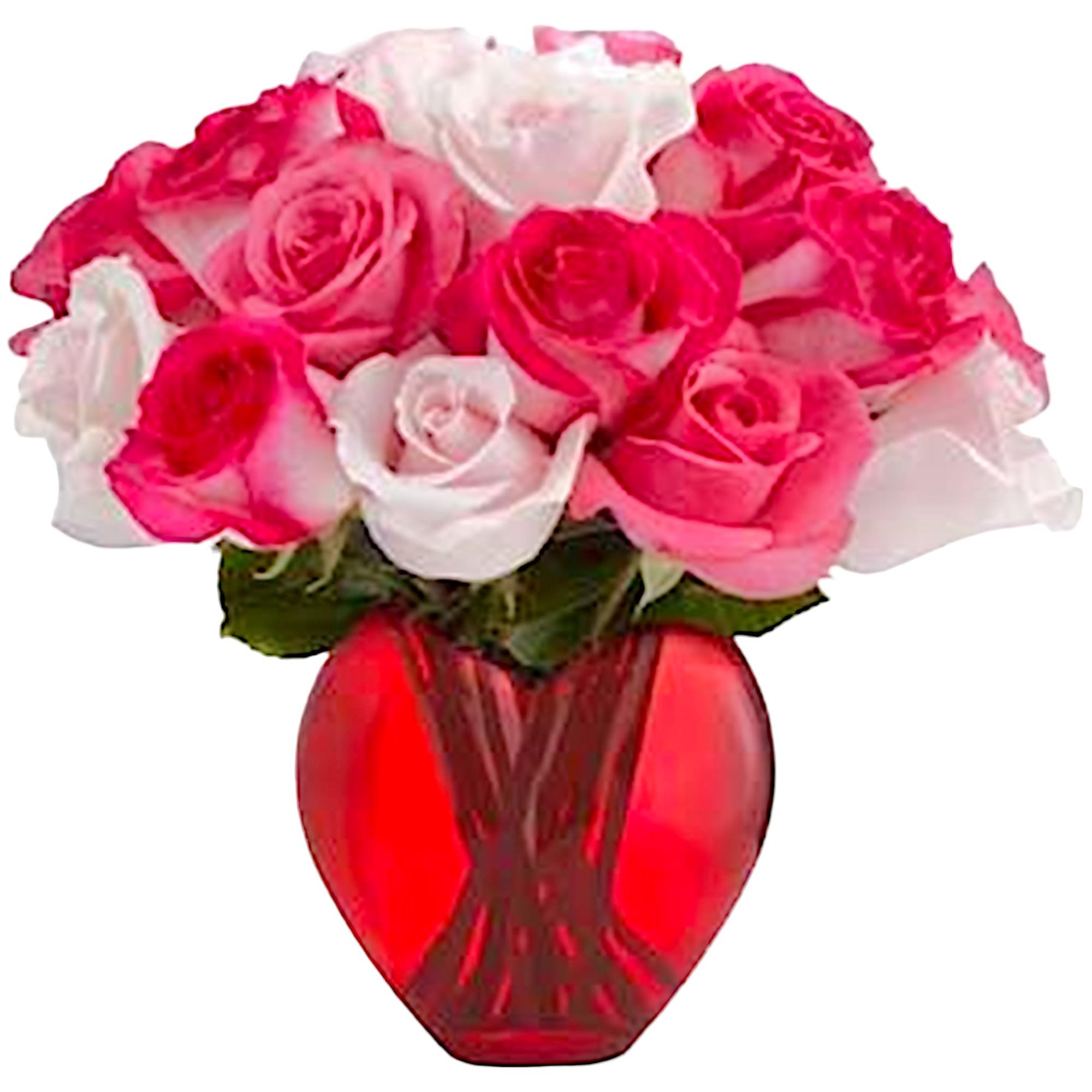 Pink and white roses in a red glass vase