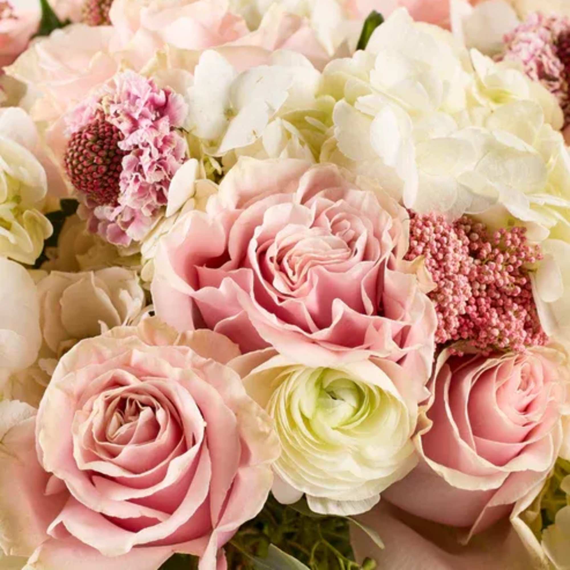 Pink and white rose bouquet with hydrangea and ranunculus