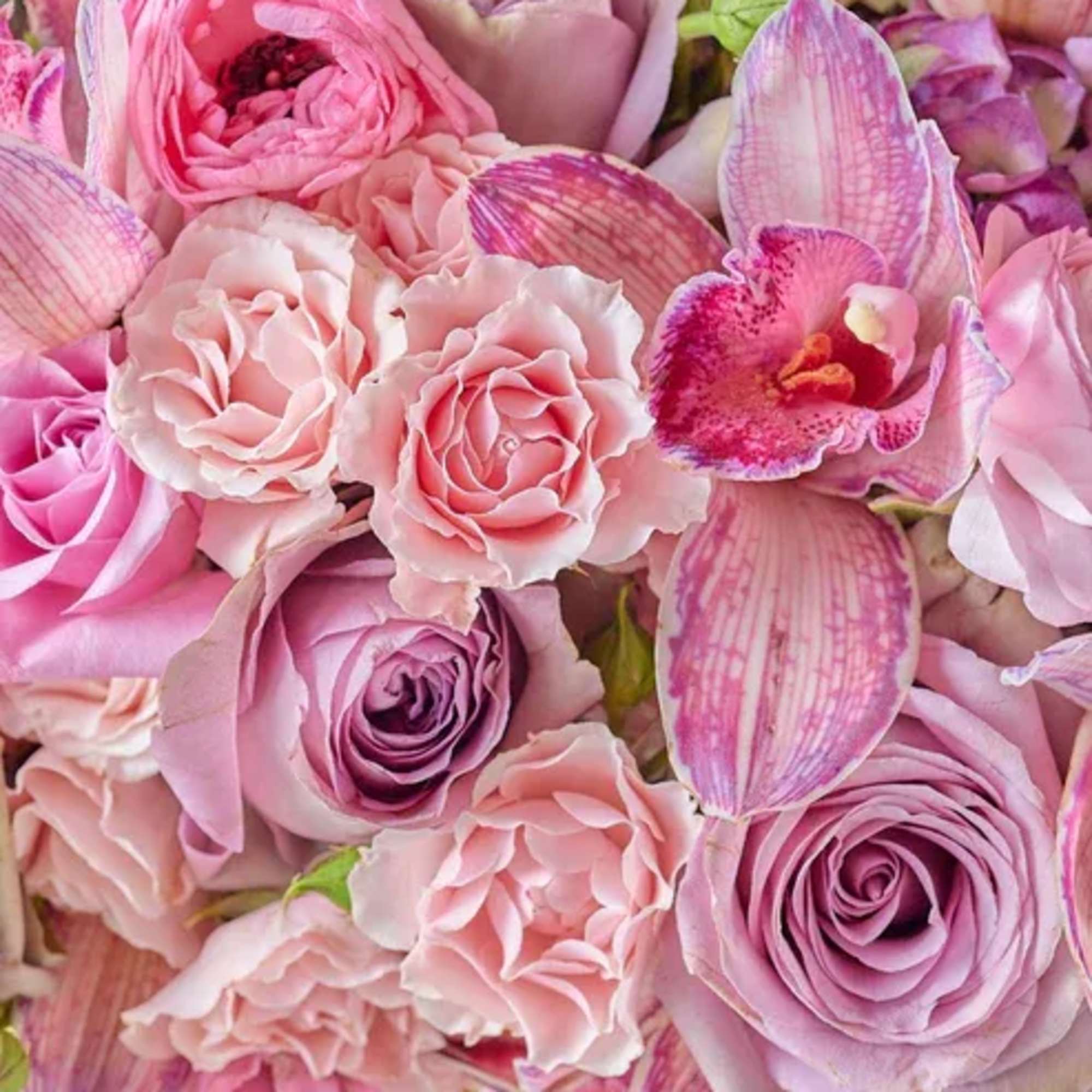 Pink and lavender bouquet with roses, ranunculus, and orchid petals