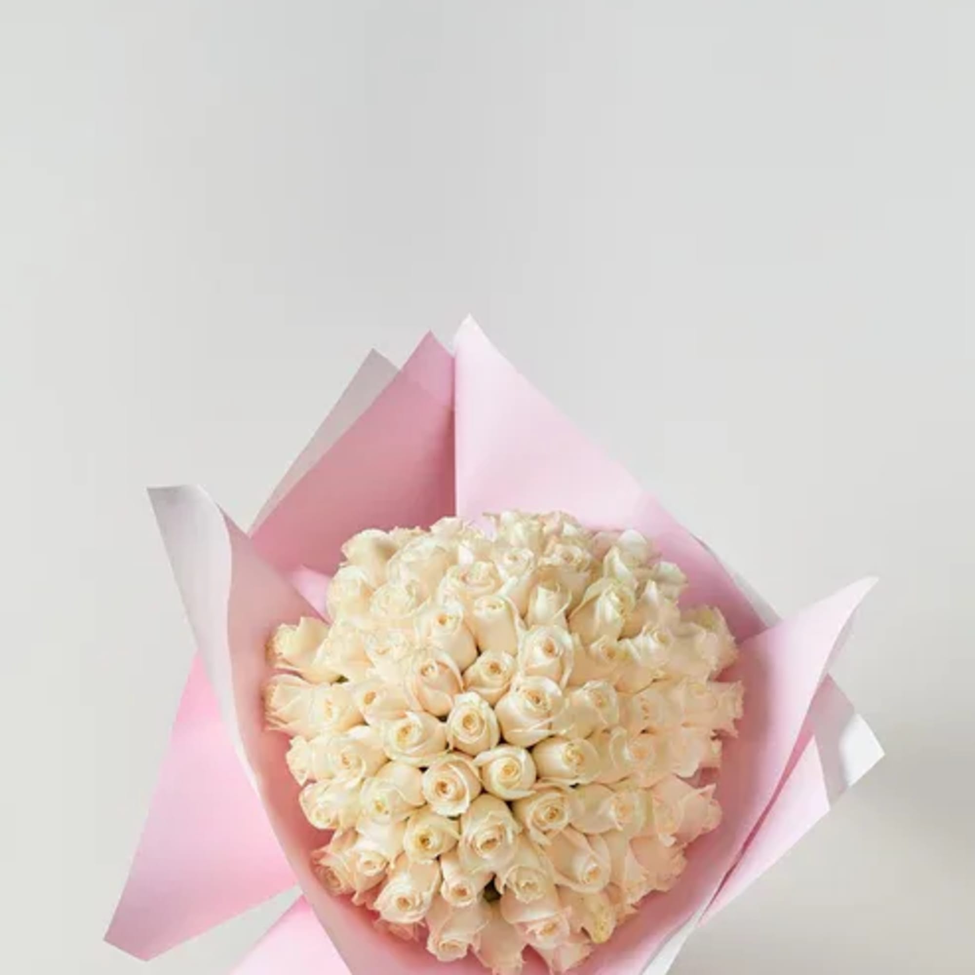 Bouquet of cream roses wrapped in pink paper