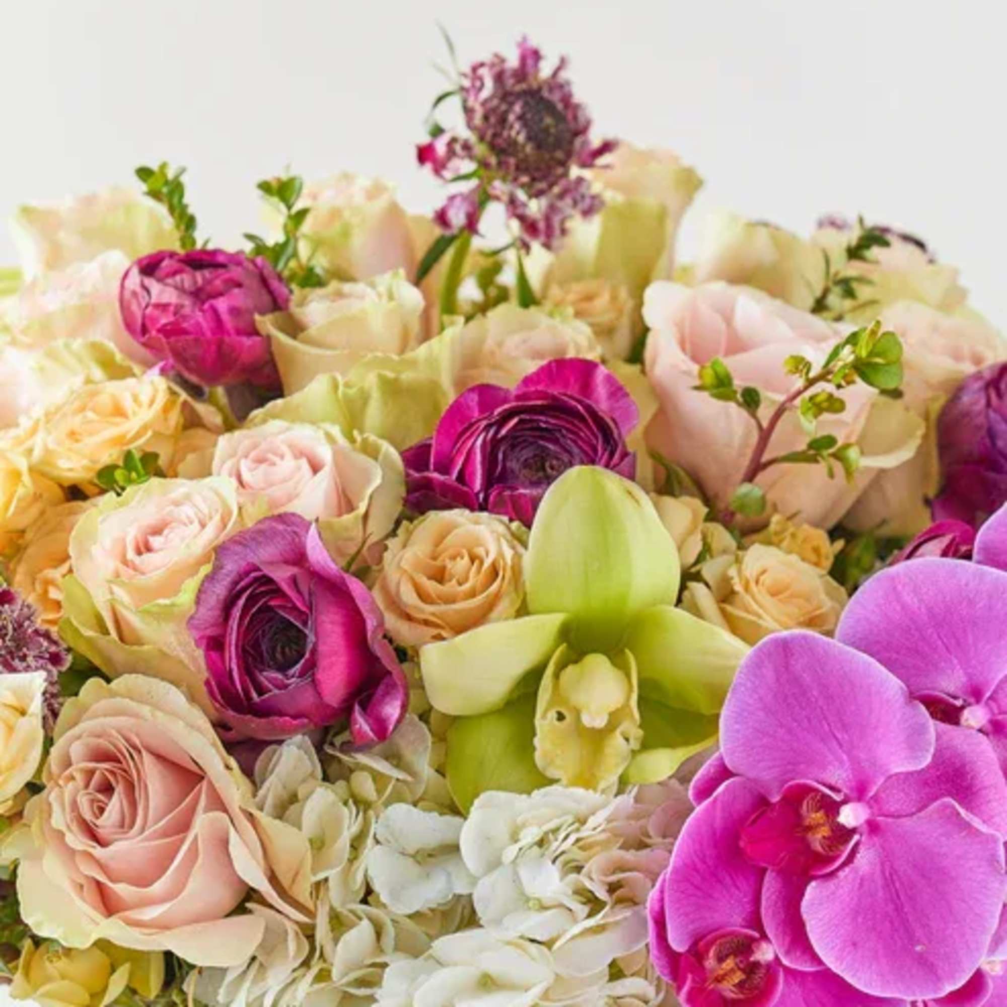 Bouquet of pink roses, white hydrangeas, and purple orchids
