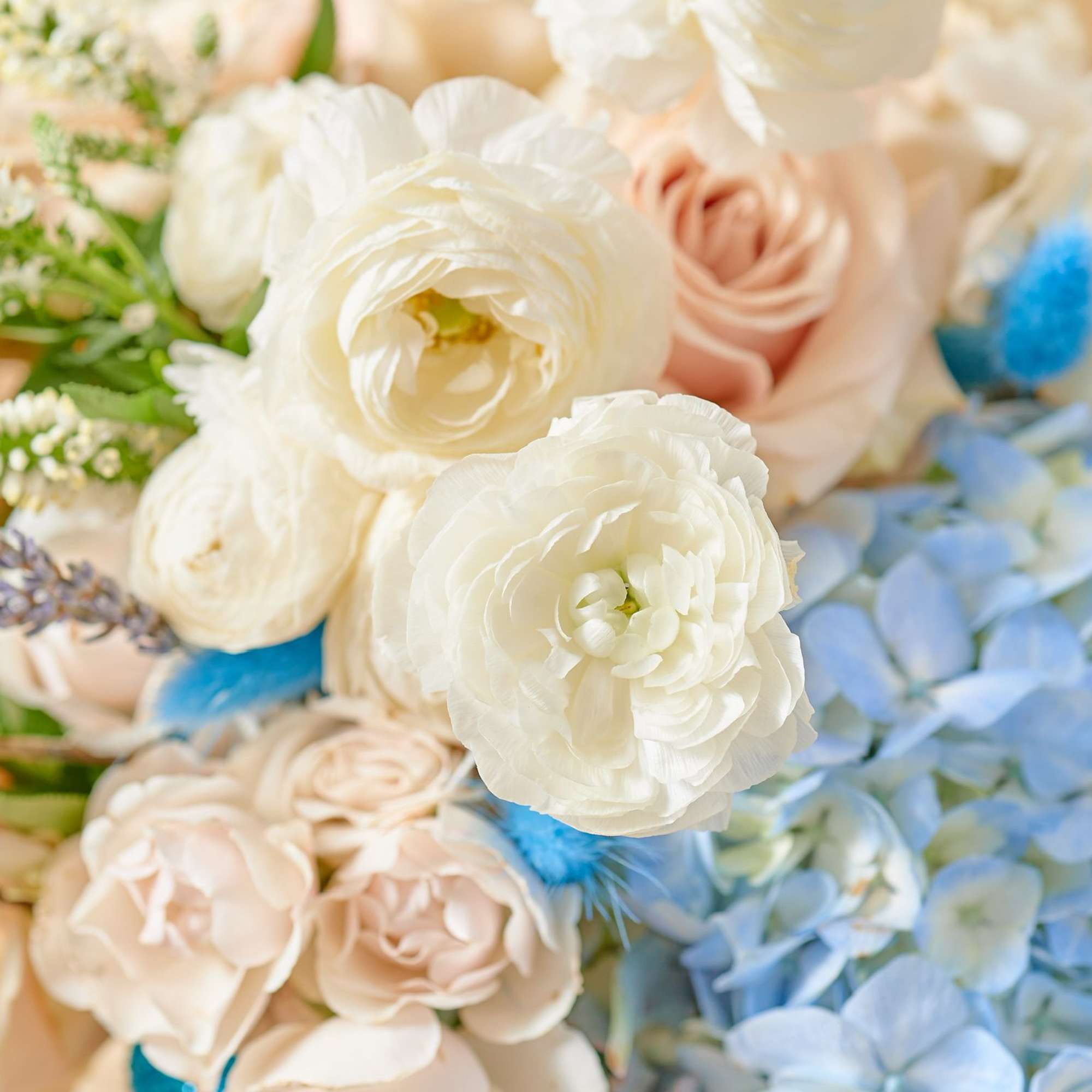 Bouquet of white and blush flowers with blue hydrangea accents