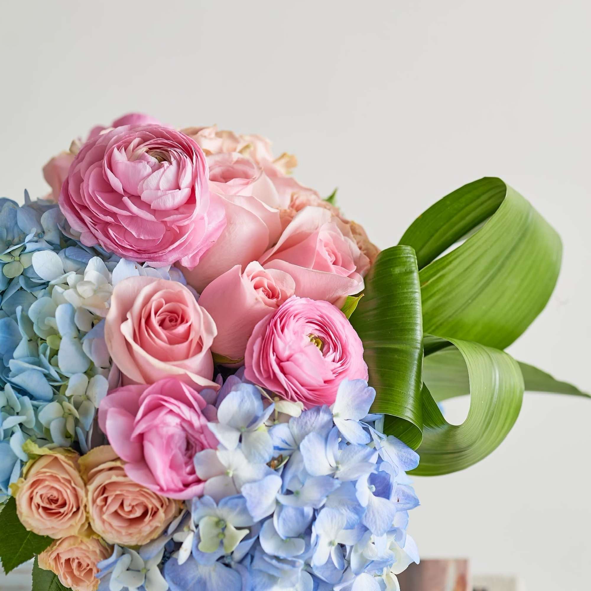 Pink roses and blue hydrangeas arranged in a white vase