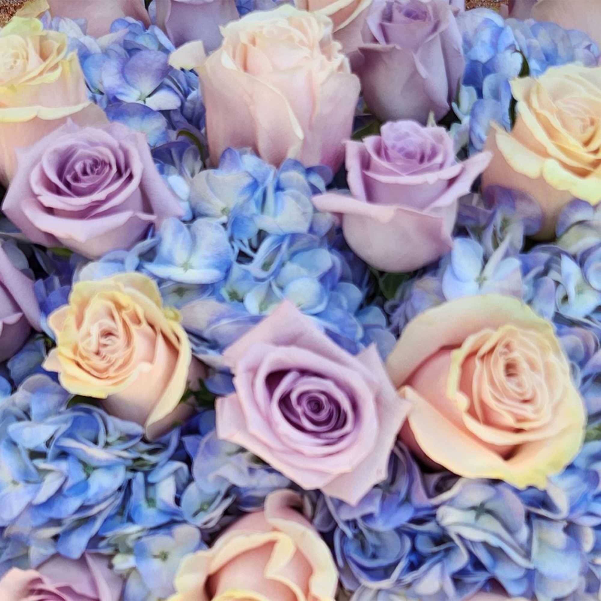 Lavender Skies

Soft, romantic, and effortlessly elegant, Lavender Skies is a breathtaking arrangement, photo 2 of 2