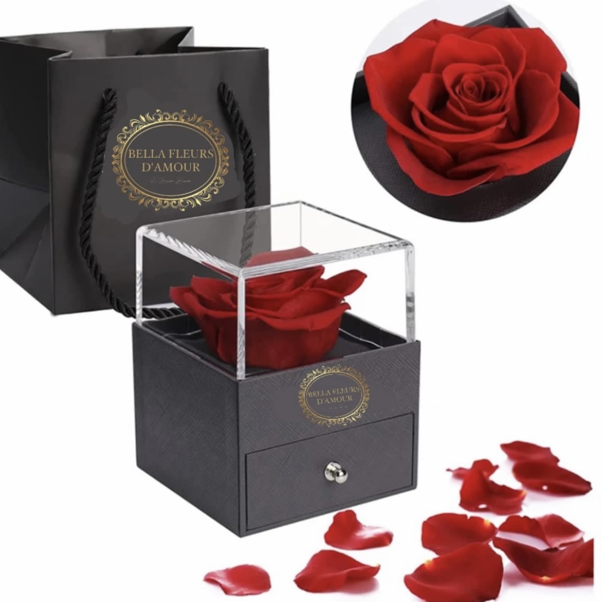 Red rose in a black gift box with a clear lid and scattered petals