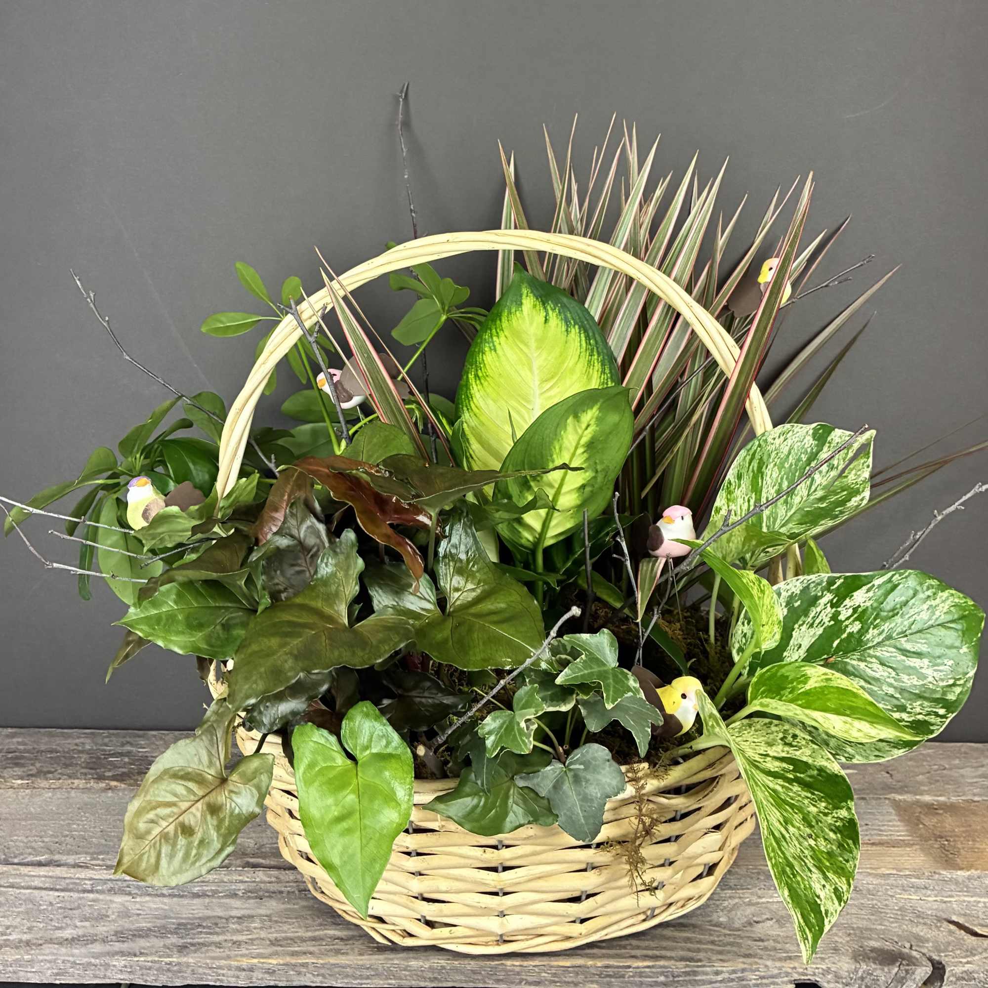 Basket planter with assorted green houseplants and decorative bird picks