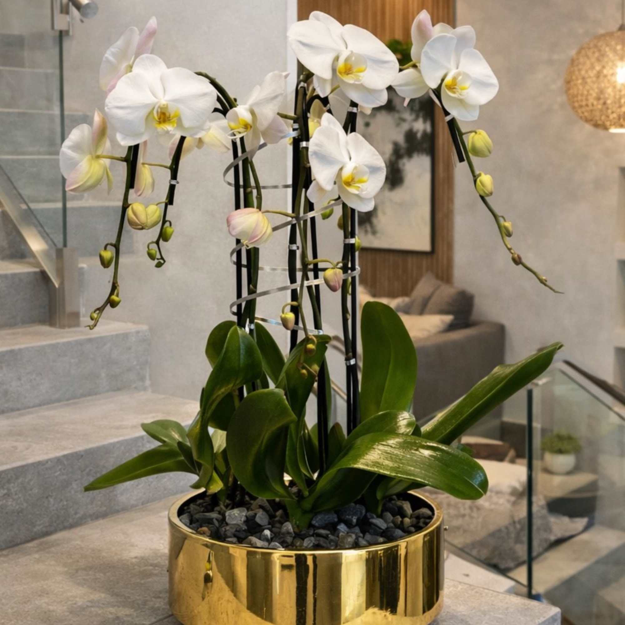 White orchids arranged in a gold planter on a staircase landing