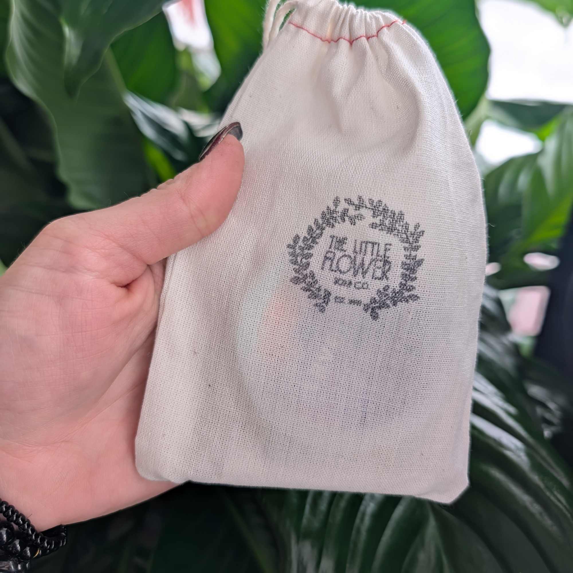 Hand holding a small drawstring cloth pouch in front of large green leaves