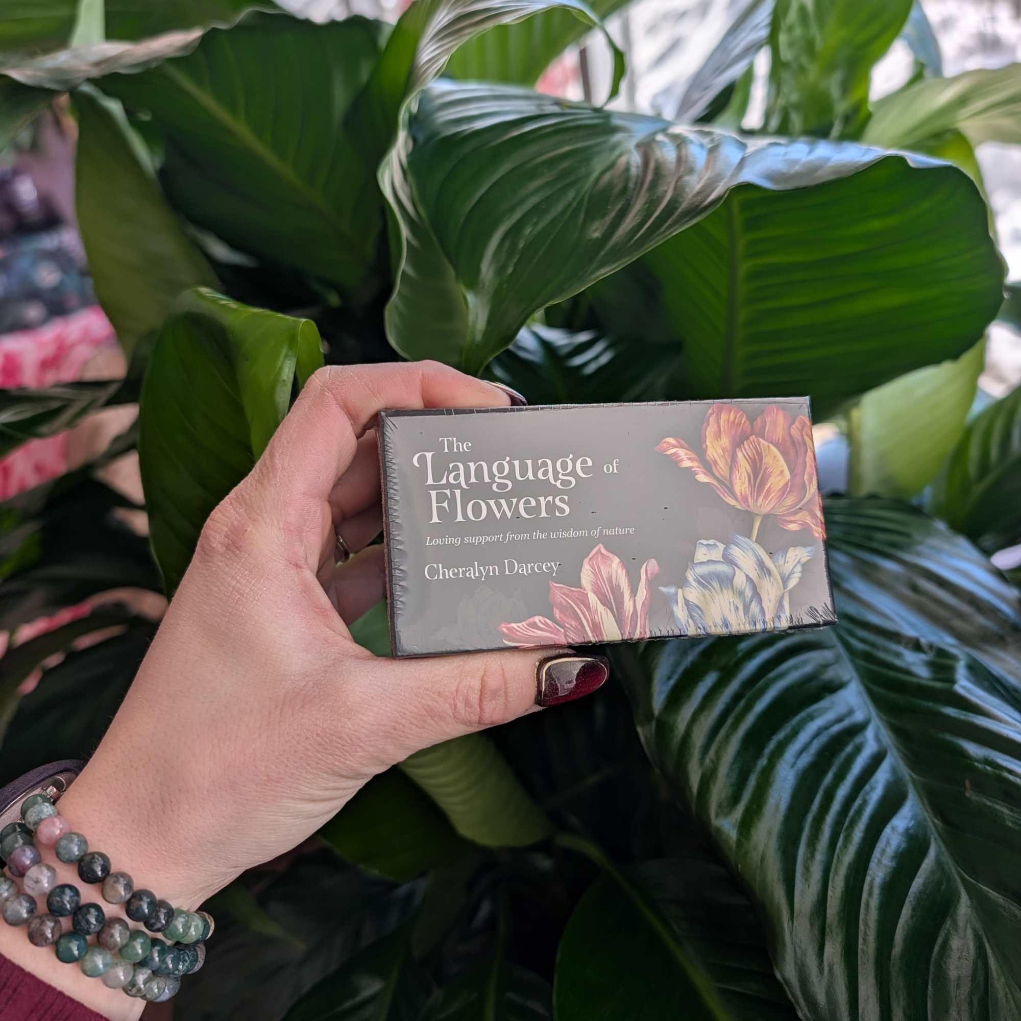 Hand holding a boxed book in front of large green plant leaves.