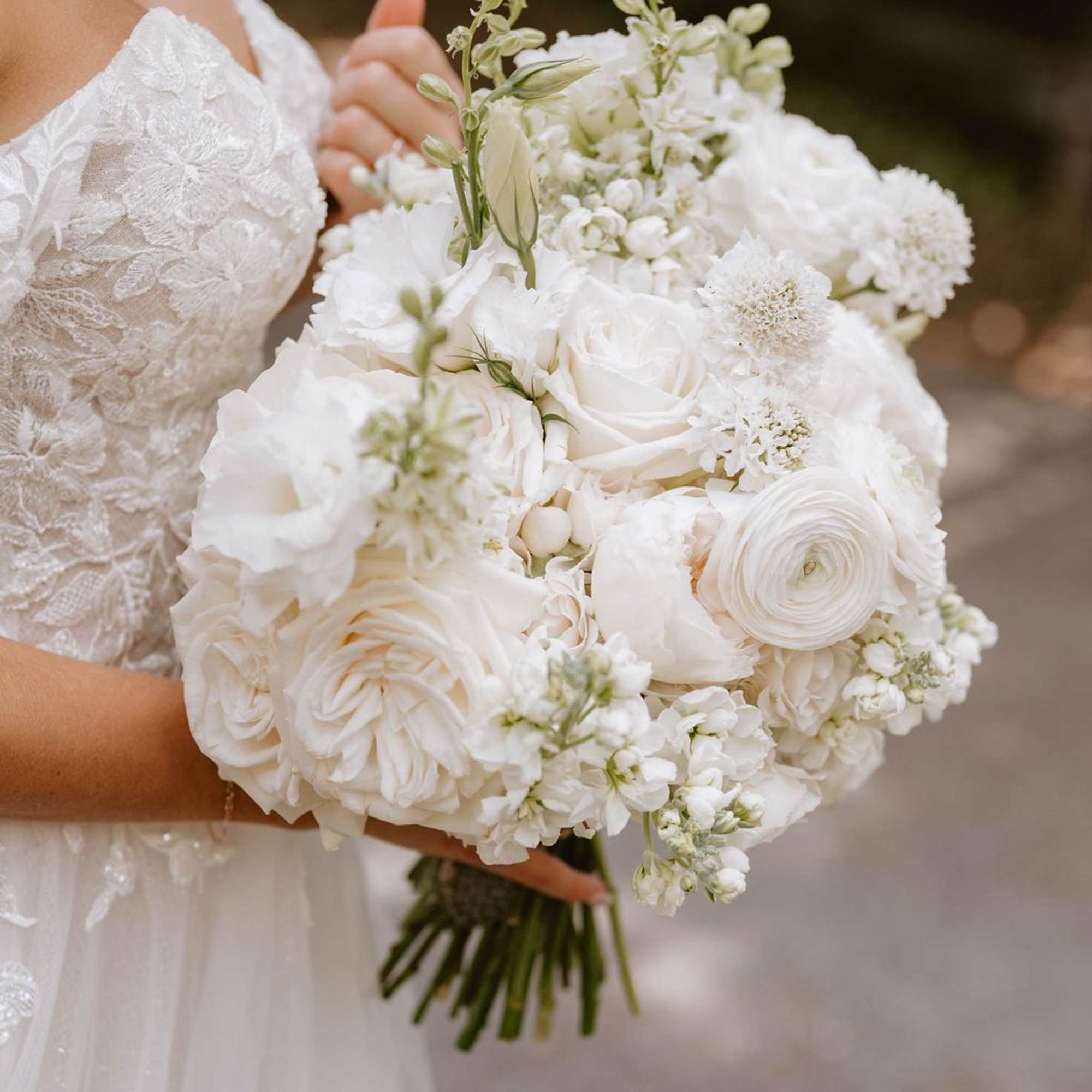 Bride holding a large white hand-tied bouquet of roses and ranunculus