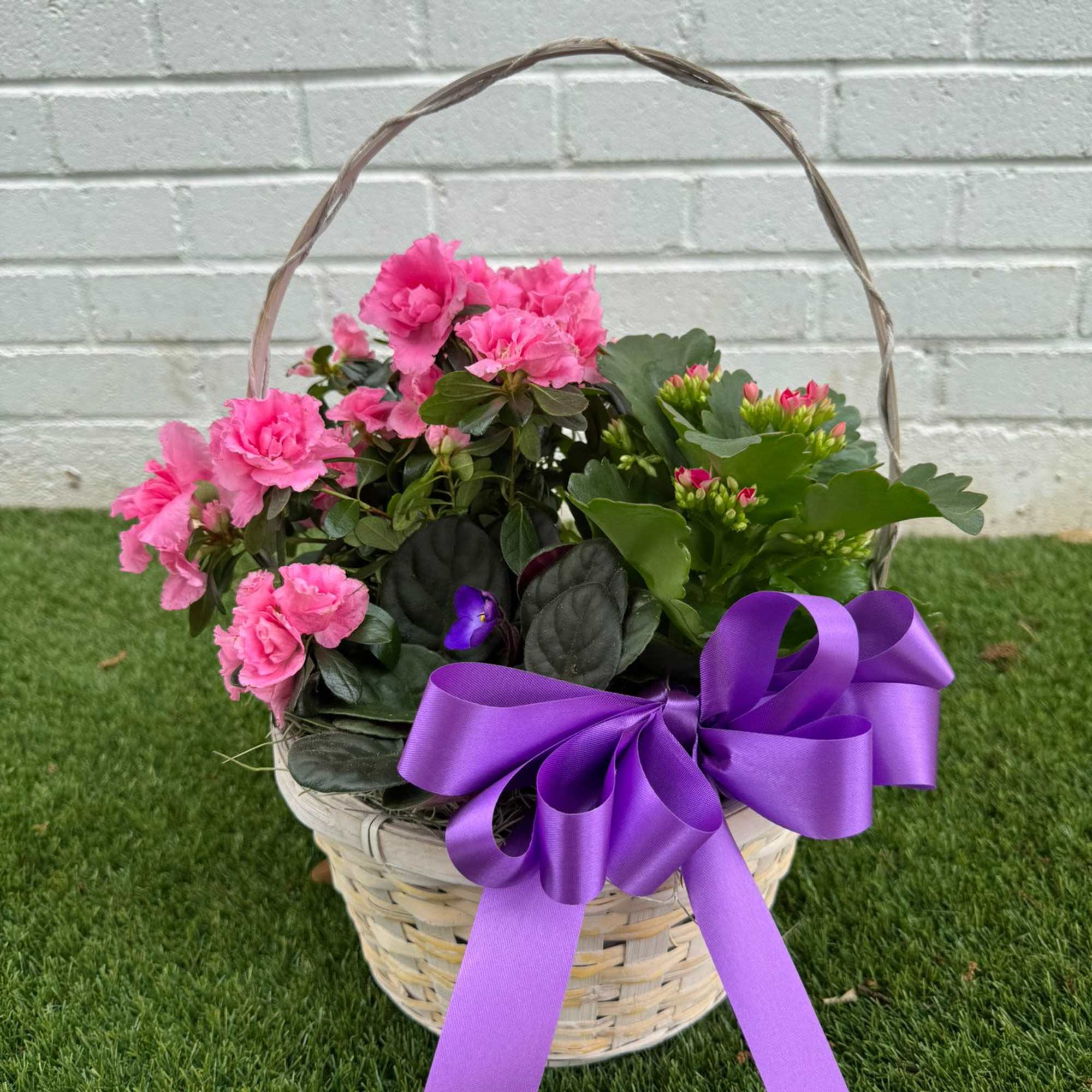 Pink flowering plant basket with a purple ribbon bow