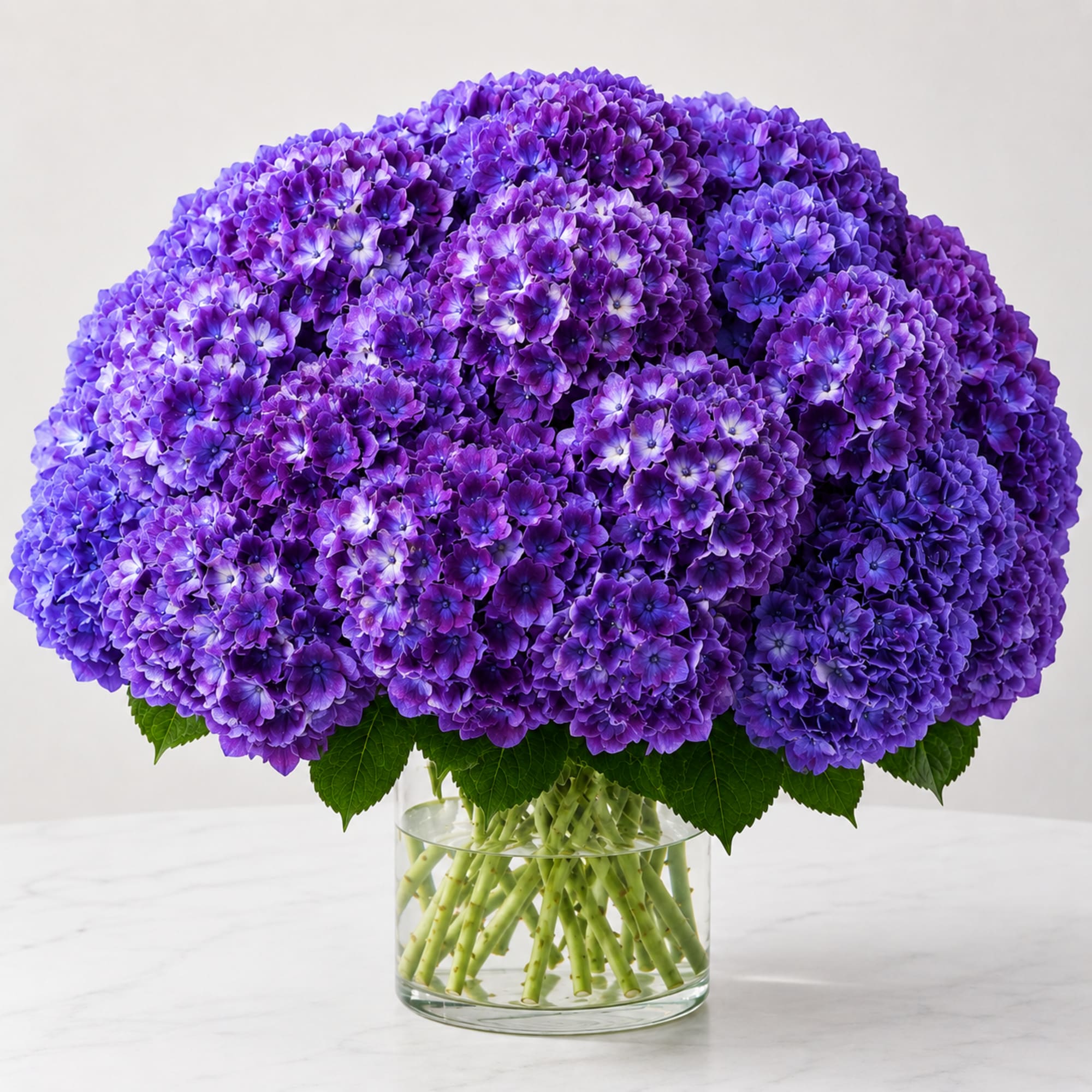 David&rsquo;s Magical Purple Hydrangea Arrangement is designed with fresh premium purple hydrangeas