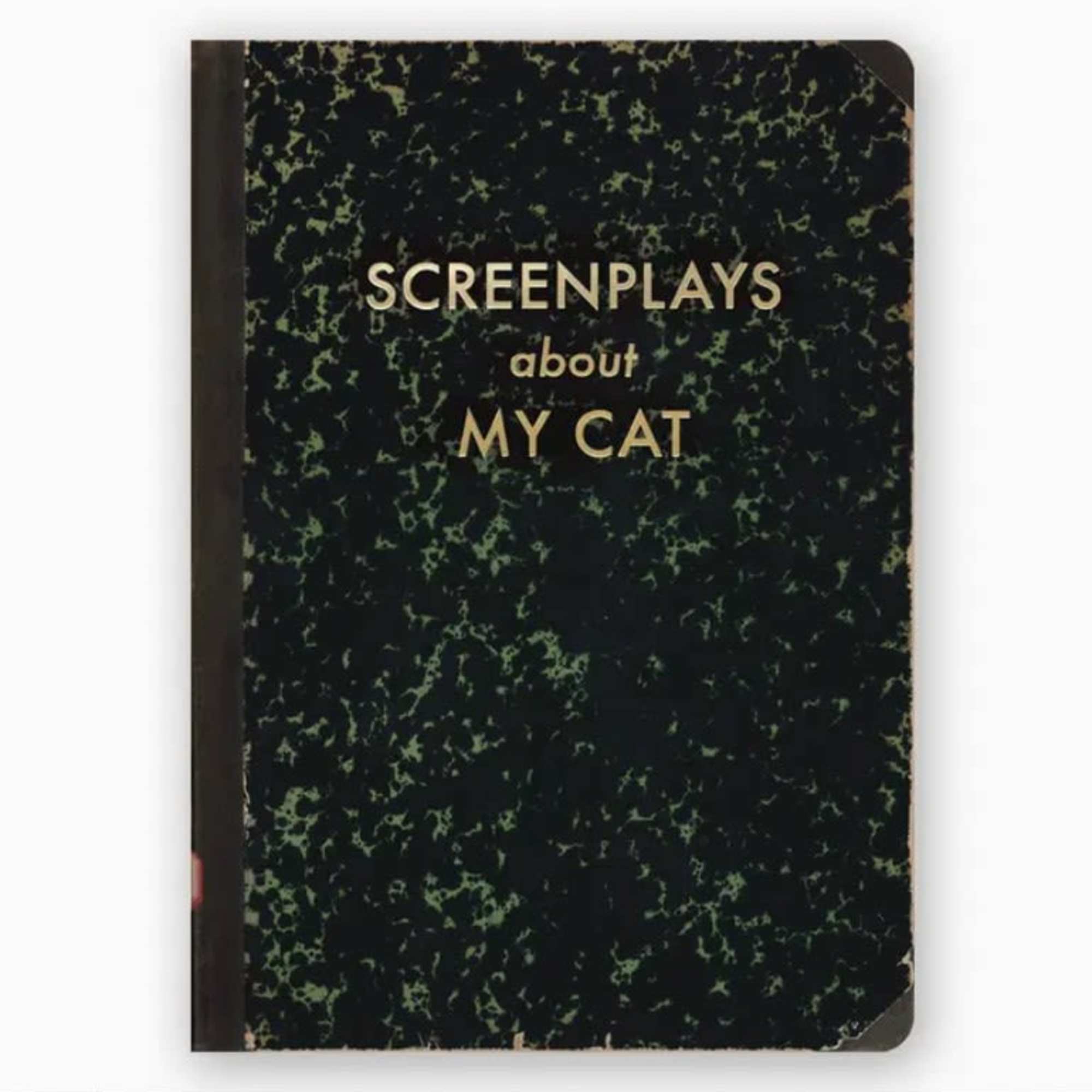 Black marbled notebook titled "Screenplays about My Cat"
