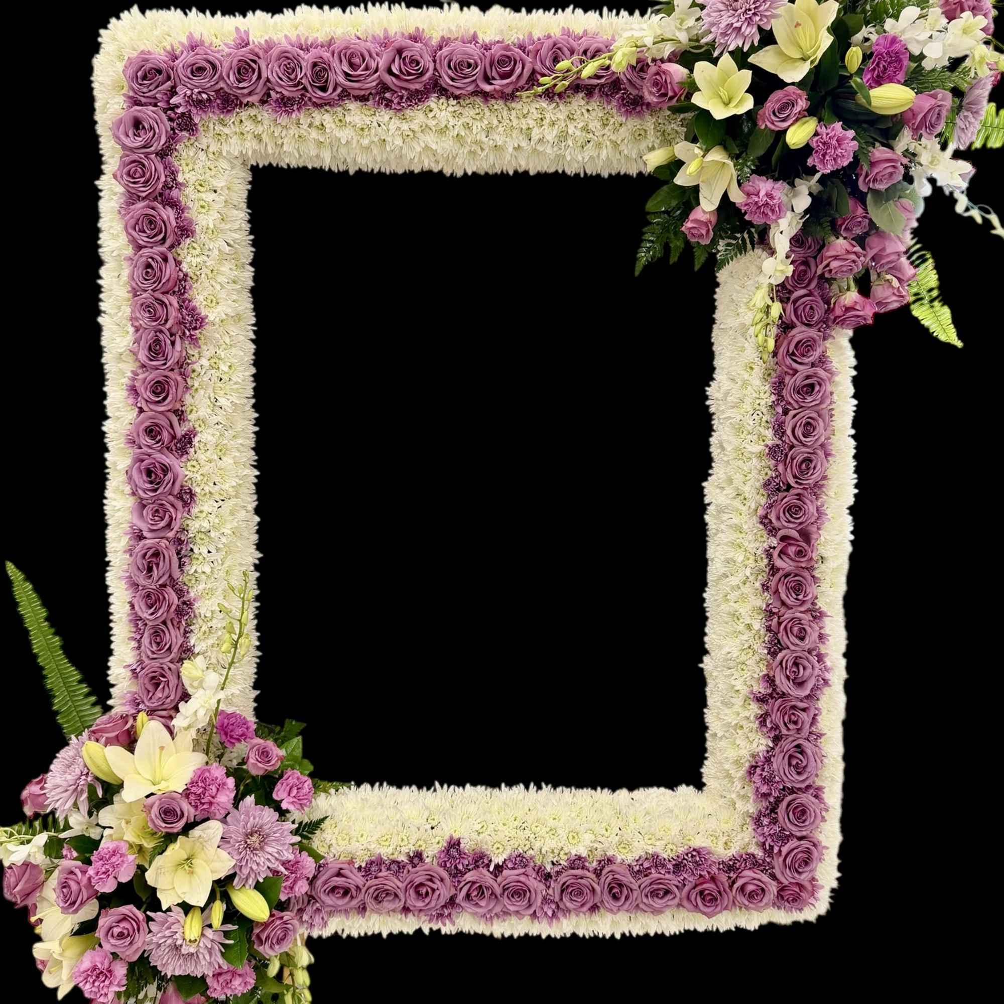 Square floral frame with purple roses and white flowers on a black background
