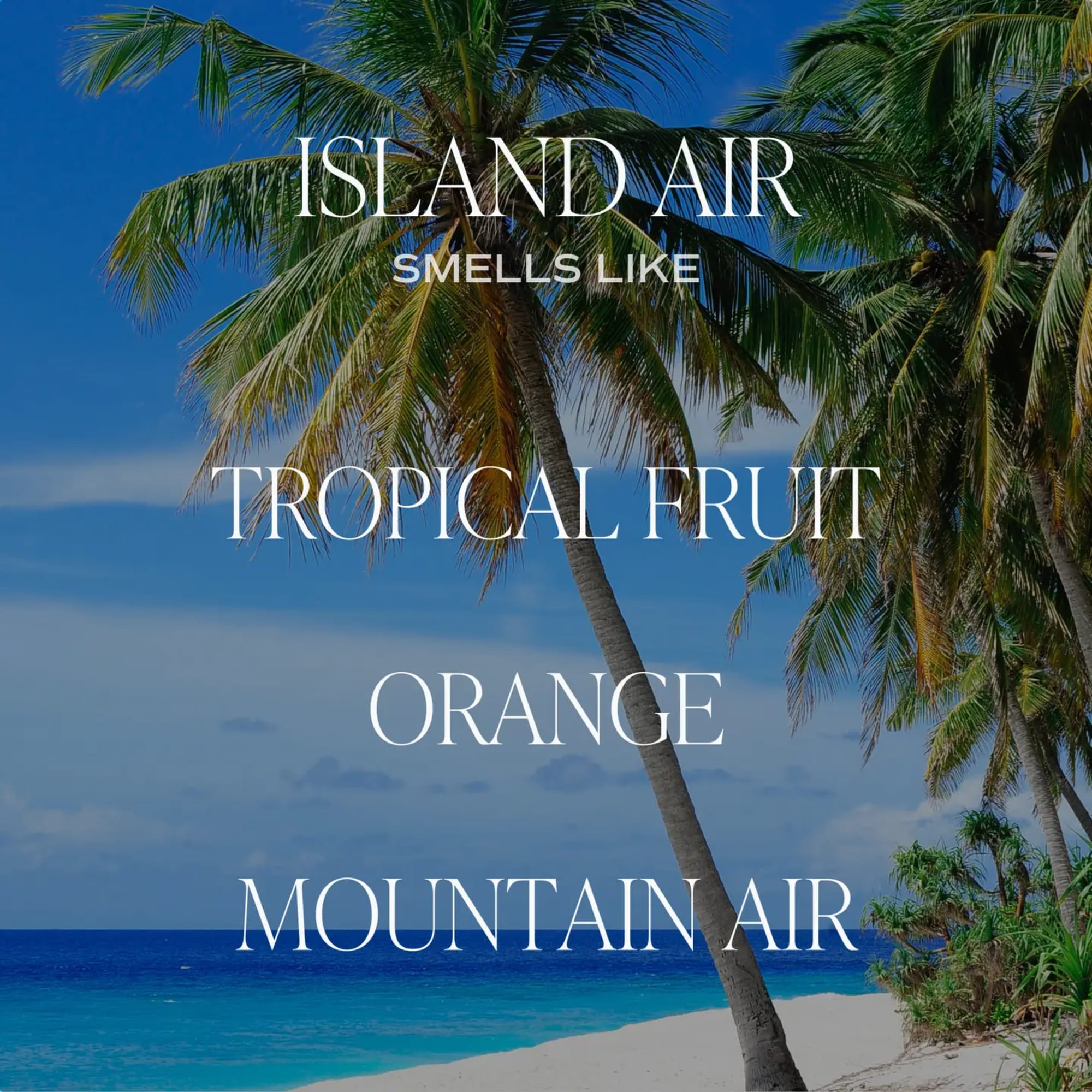 Palm trees over a tropical beach with text reading Island Air and Tropical Fruit Orange Mountain Air.