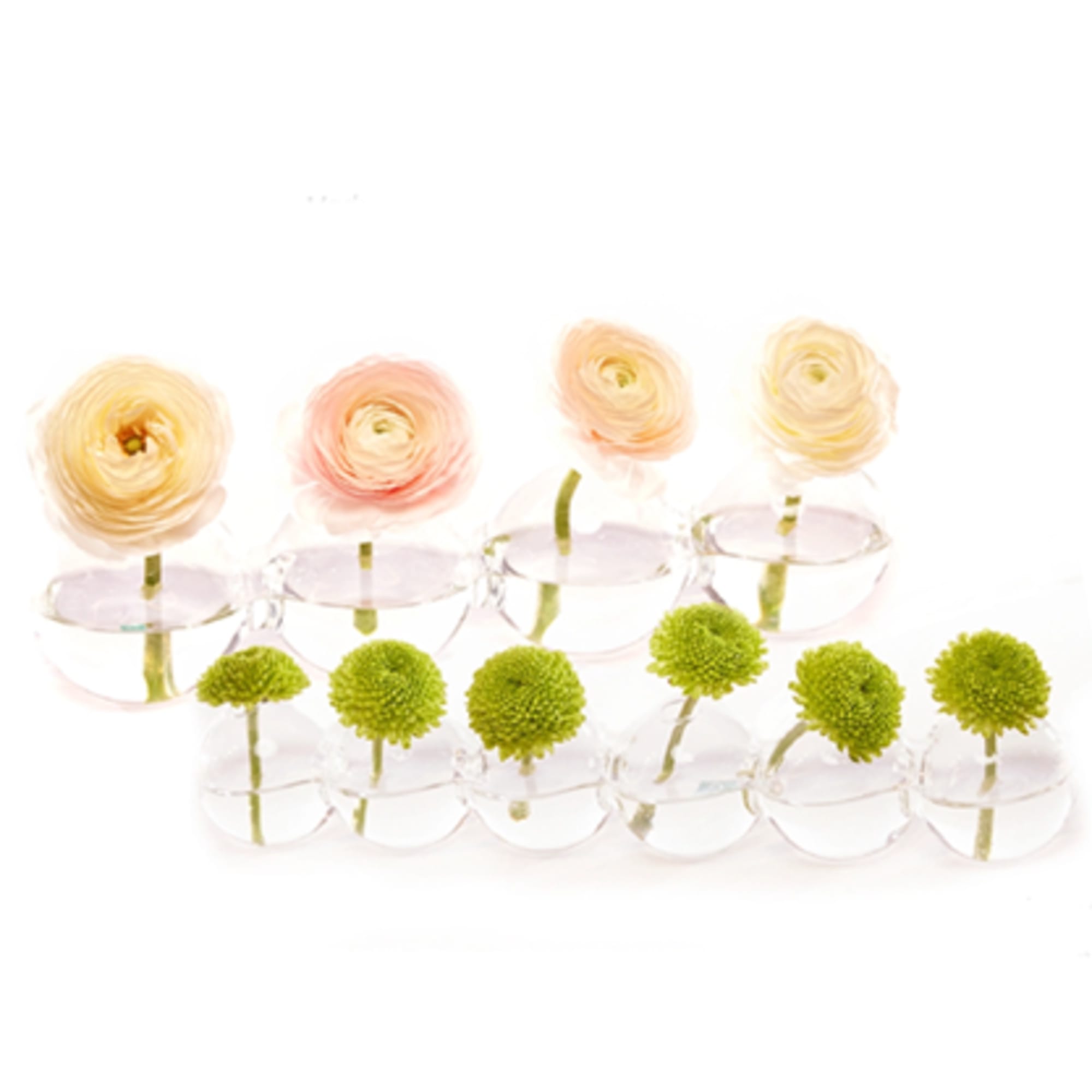 Small flowers in clear glass cups arranged in two rows