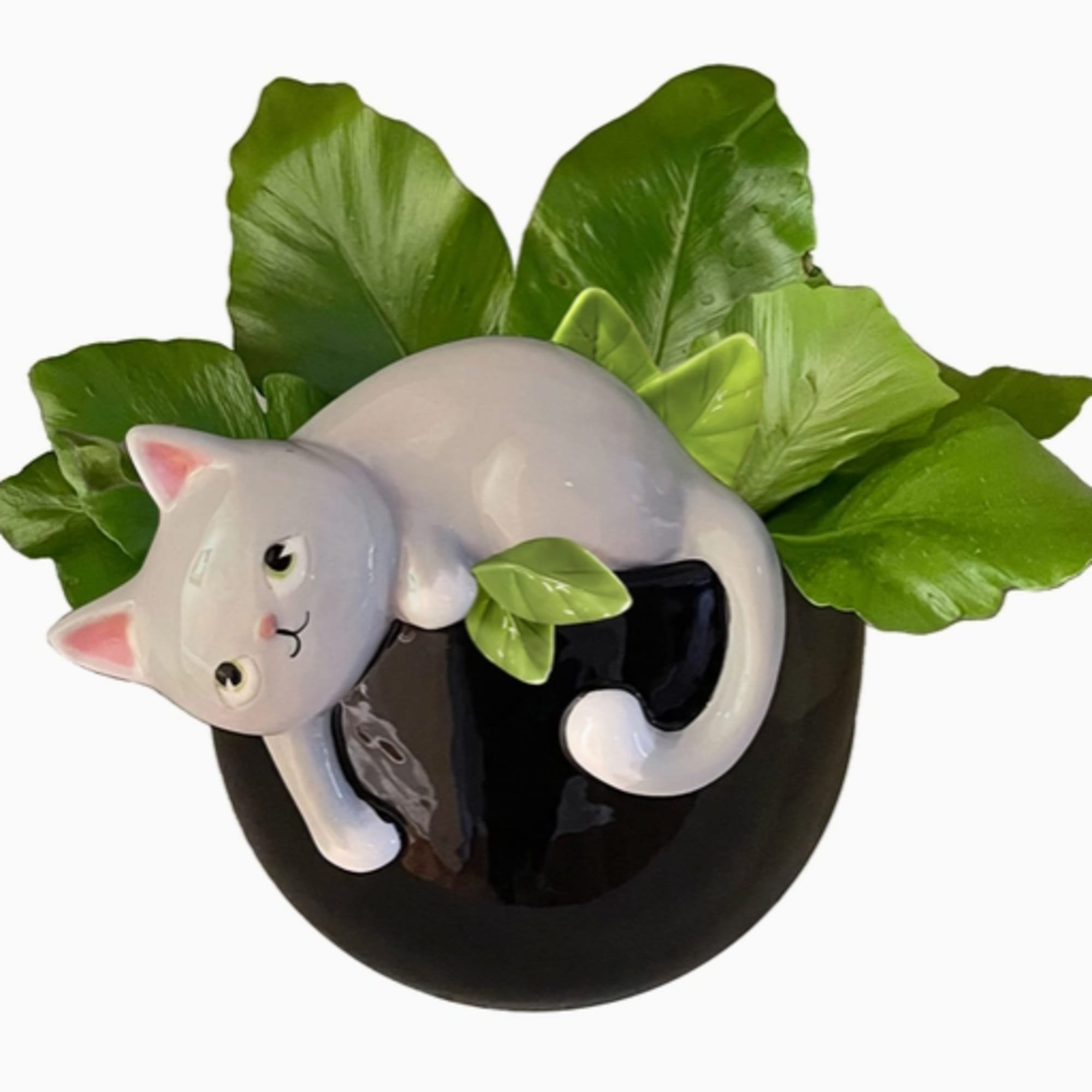 Description
Art imitates life with this adorable playful kitty planter! Kitties love plants, photo 2 of 2