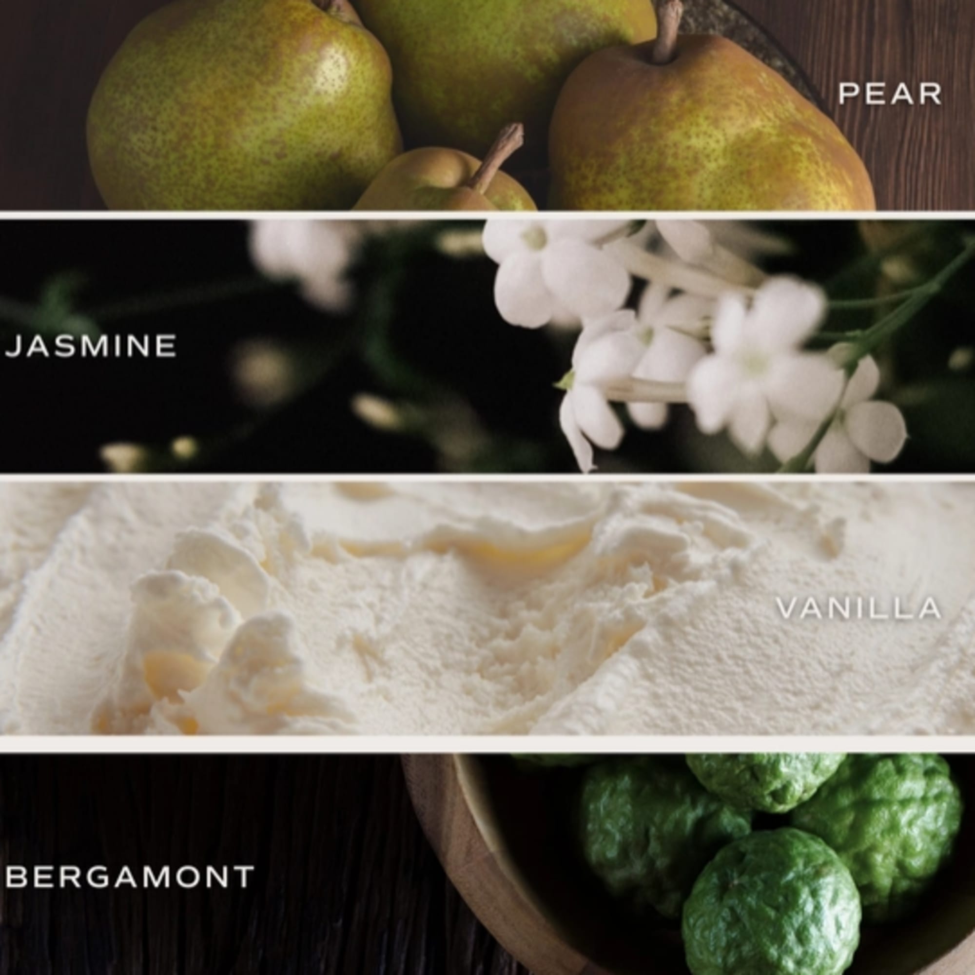 Description
The Cashmere and Vanilla candle blends bourbon vanilla, coconut, and cashmere for, photo 2 of 3