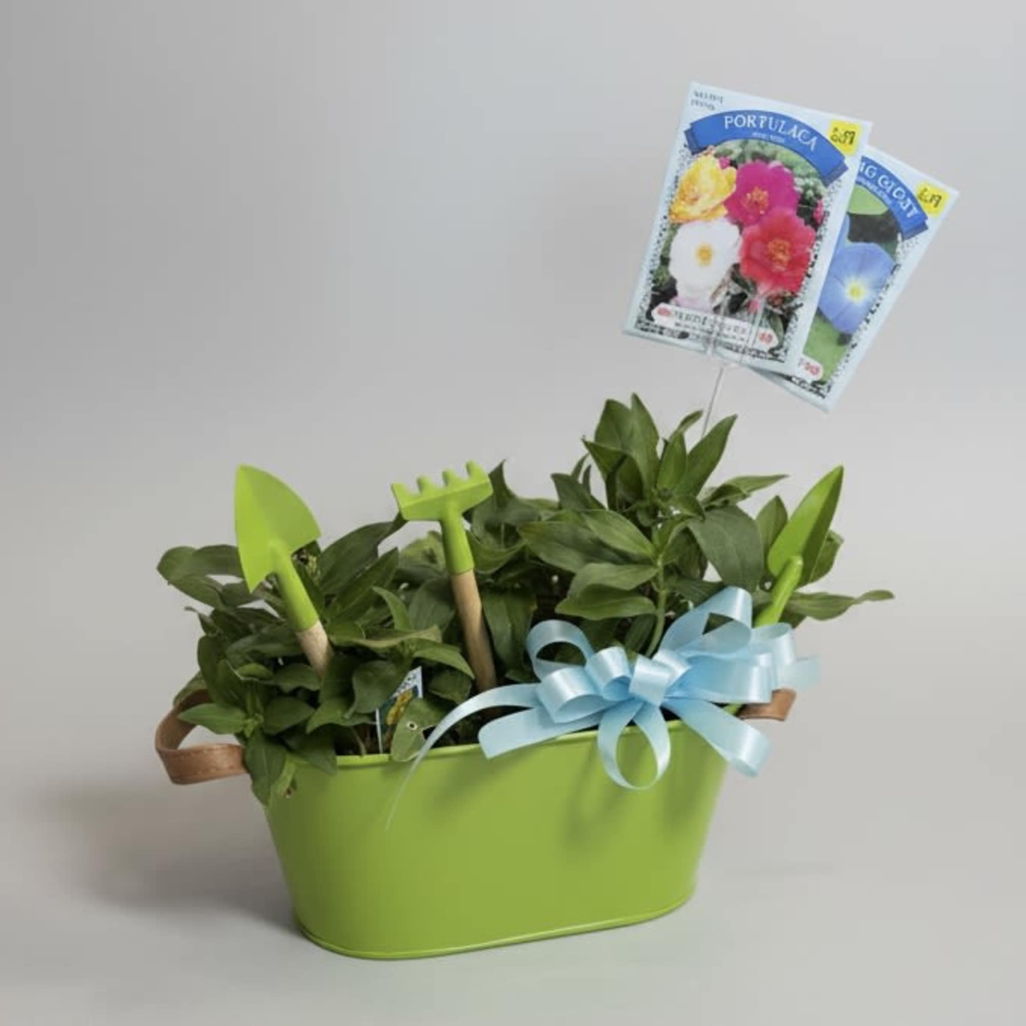 Cute tin planter with mini tools attached. Currently planted with Zinnias of, photo 2 of 2