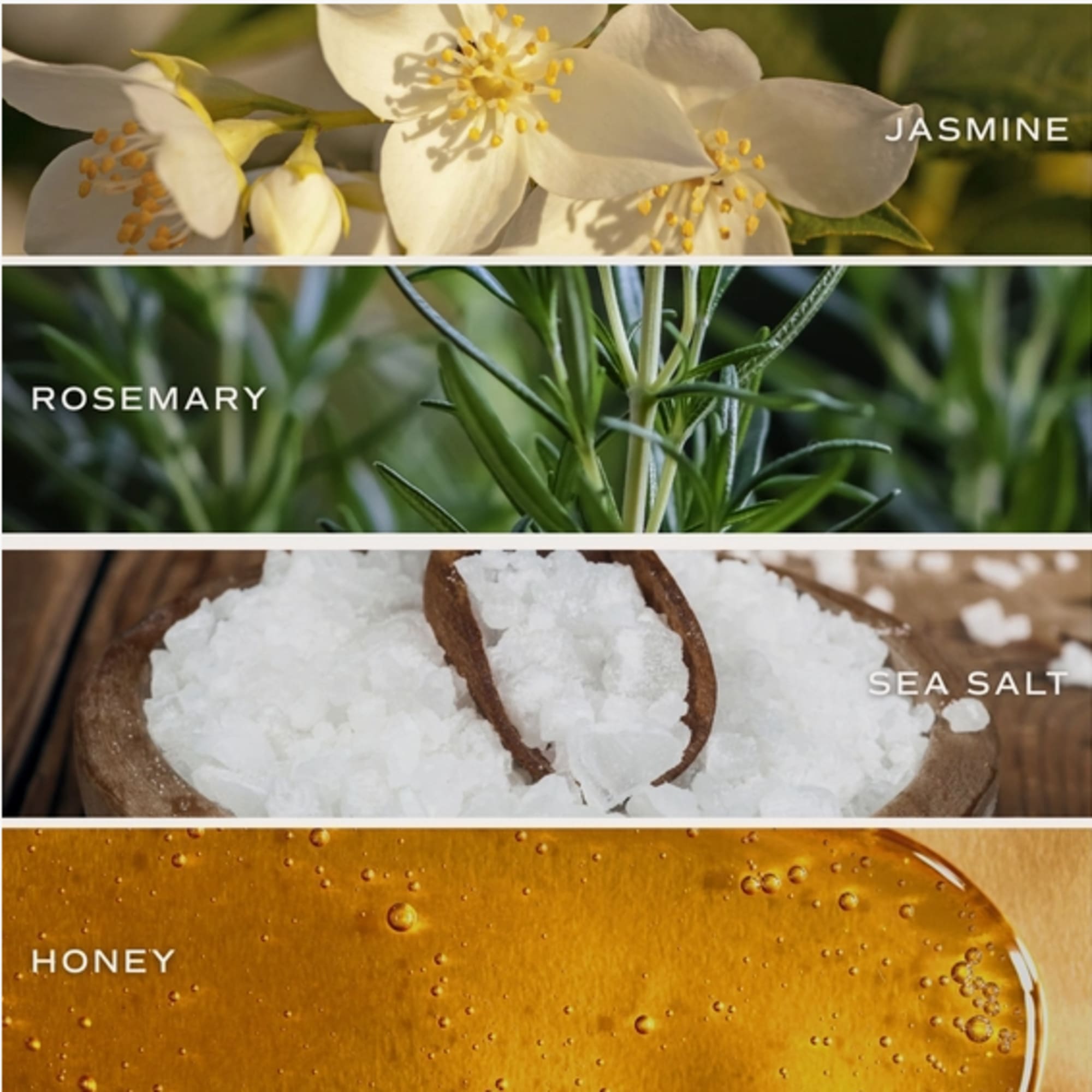 ????? ?????:
&bull; Top: Lemon, Rosemary, Leafy Green
&bull; Middle: Jasmine, Lily, Honey, Violet
&bull;, photo 2 of 2