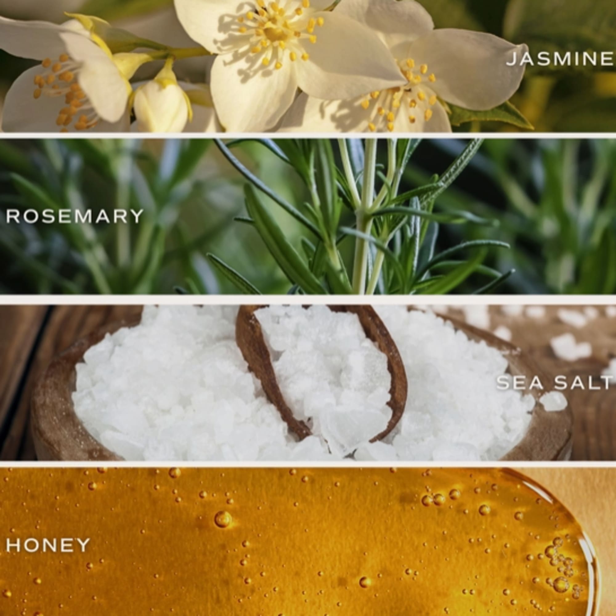 Description
SCENT NOTES:
&bull; Top: Lemon, Rosemary, Leafy Green
&bull; Middle: Jasmine, Lily, Honey, Violet
&bull;, photo 2 of 2