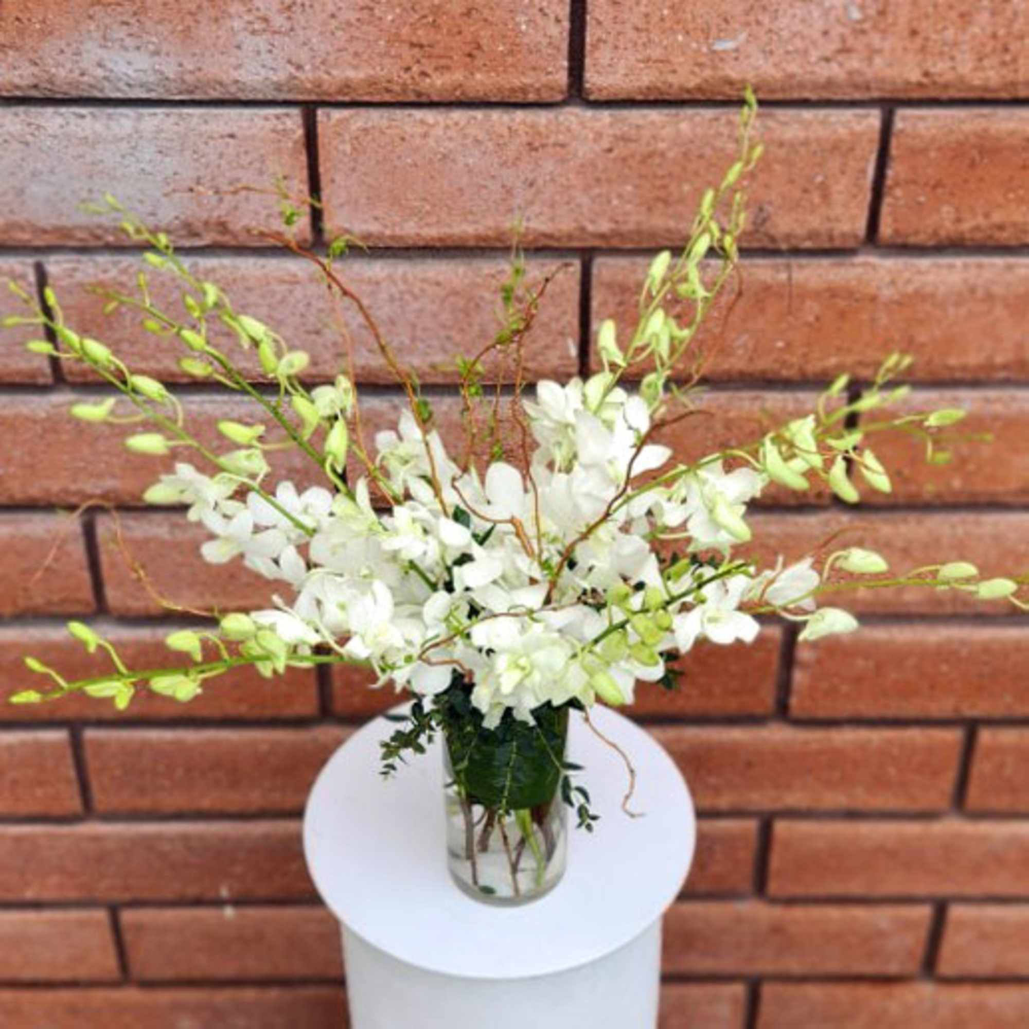 White orchid arrangement in a clear glass vase