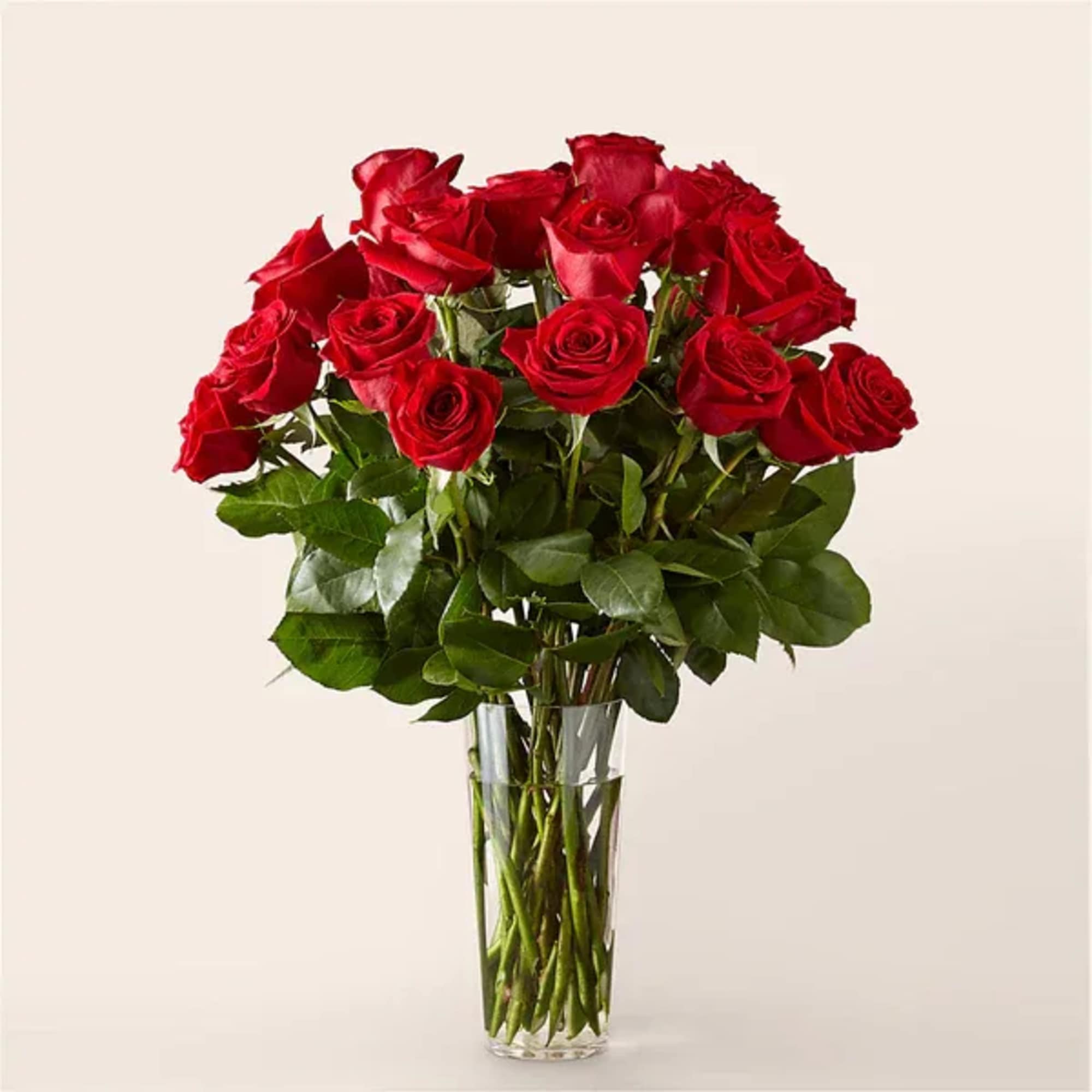Red roses arranged in a clear glass vase