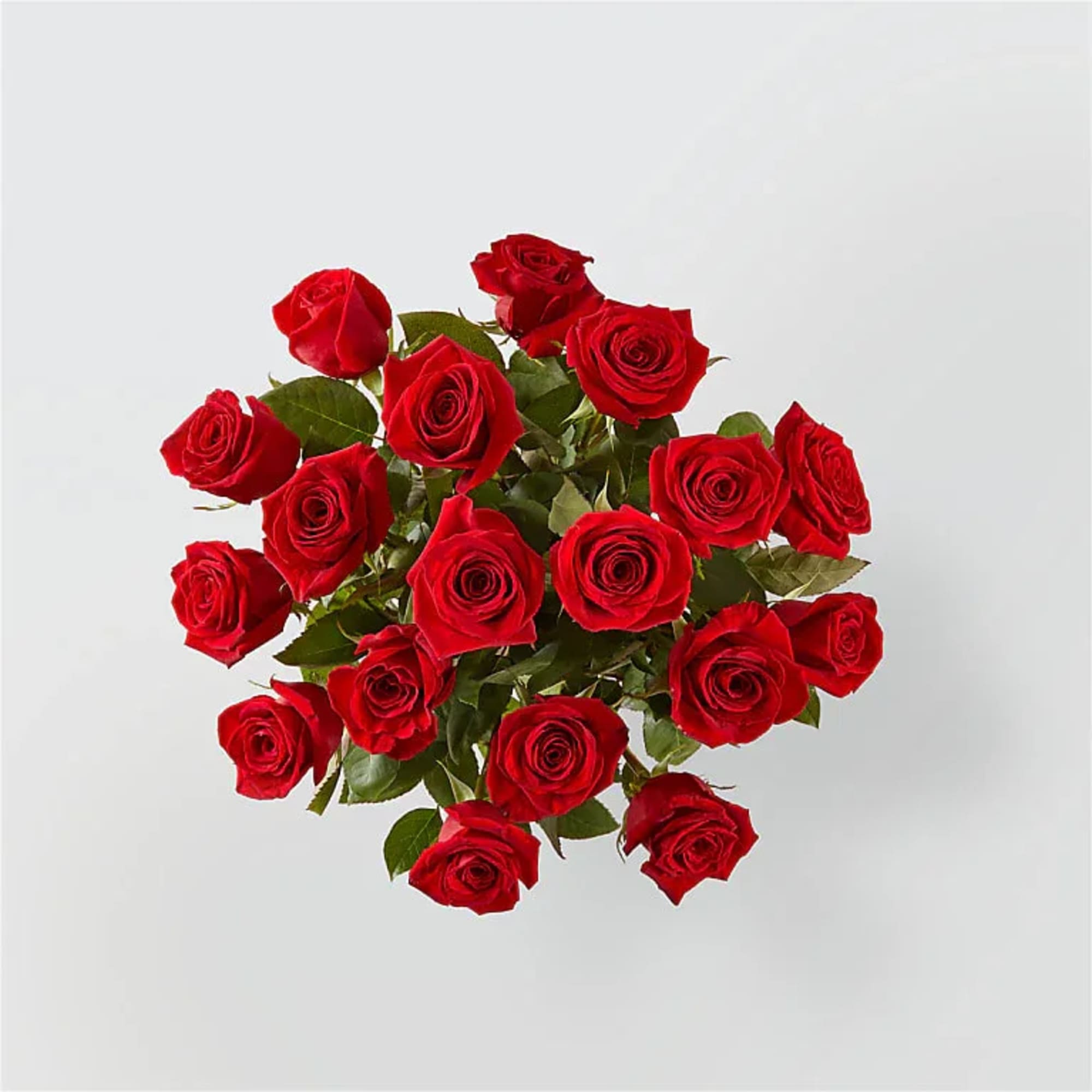 Bouquet of red roses with green foliage