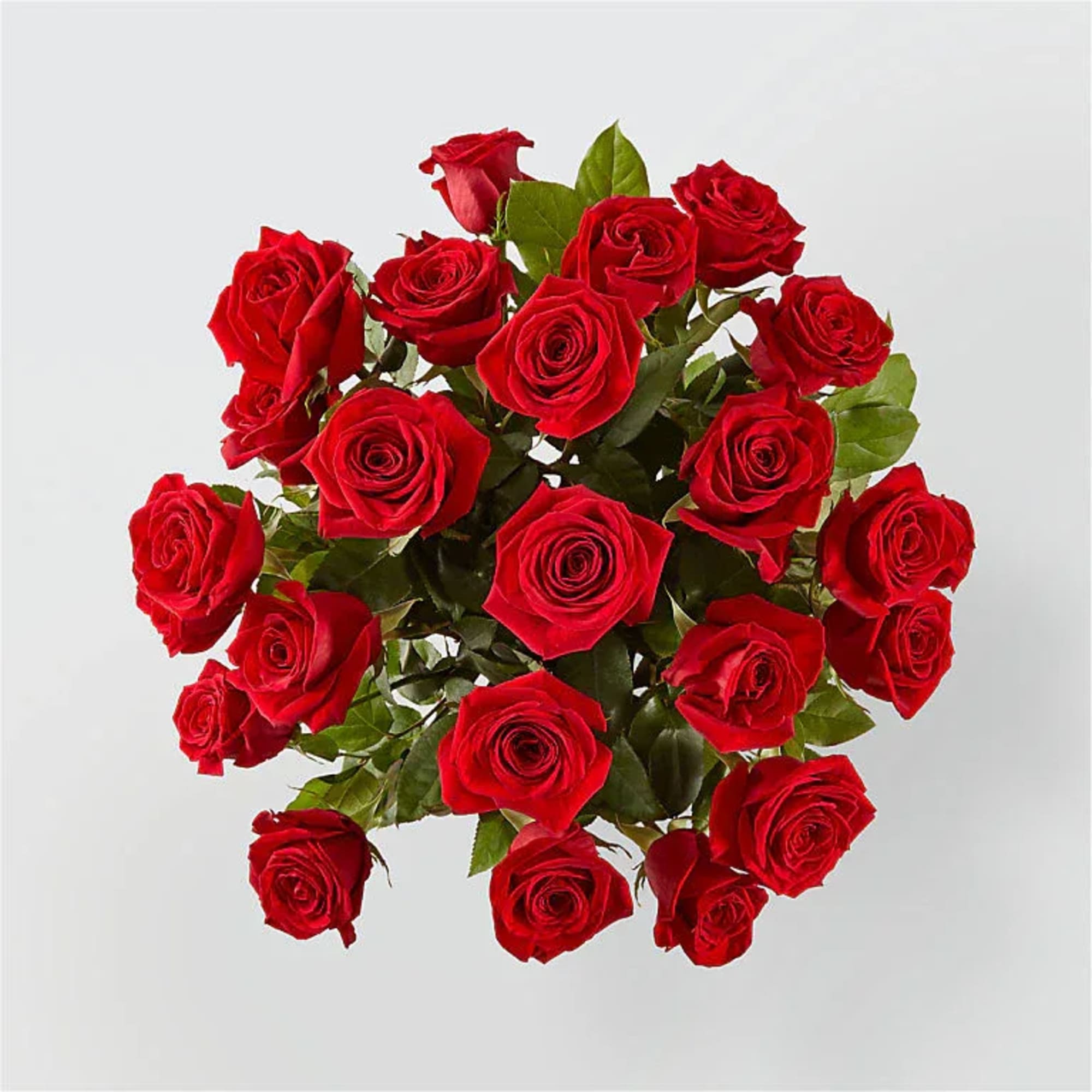 Bouquet of red roses with green foliage