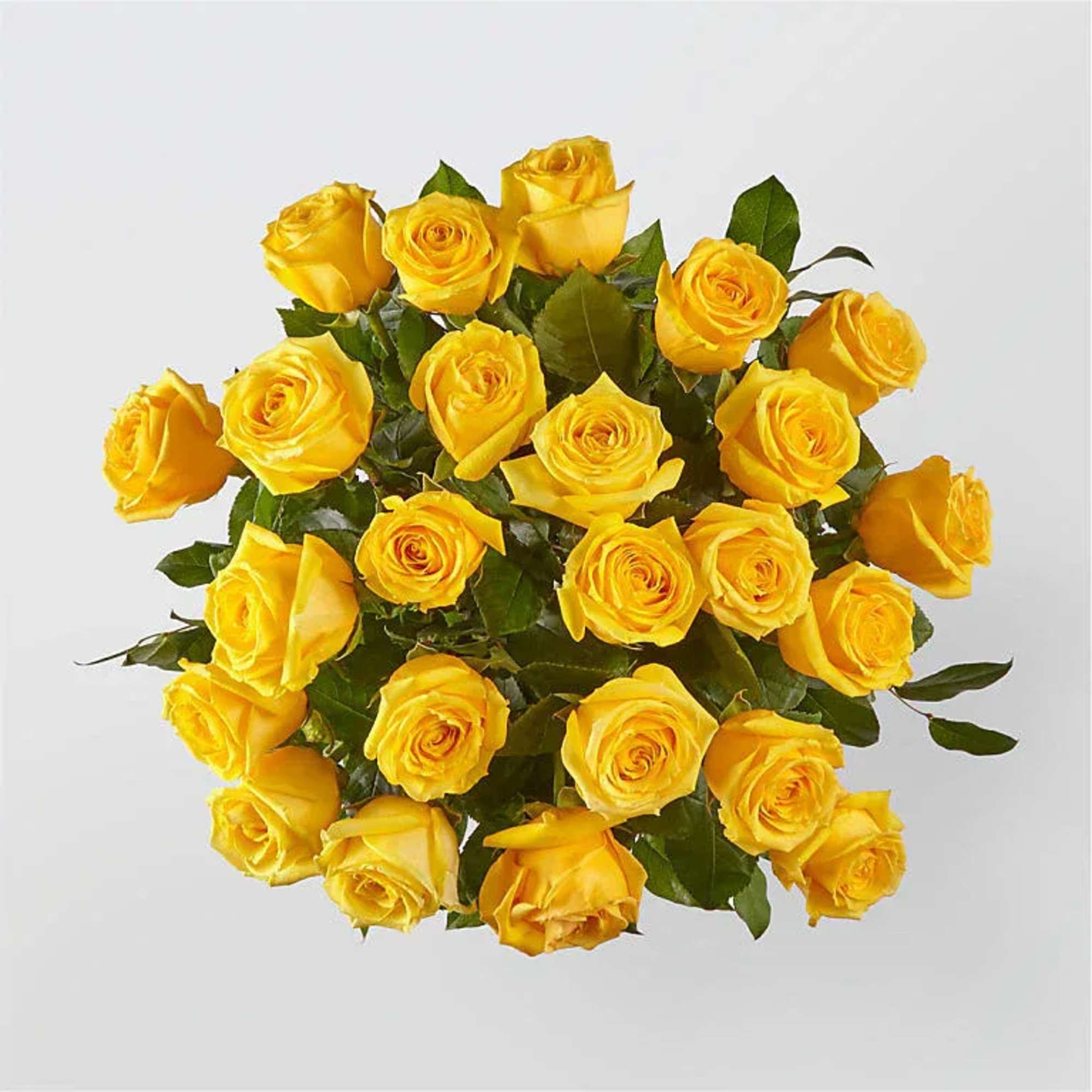 Bouquet of yellow roses with green foliage on a white background
