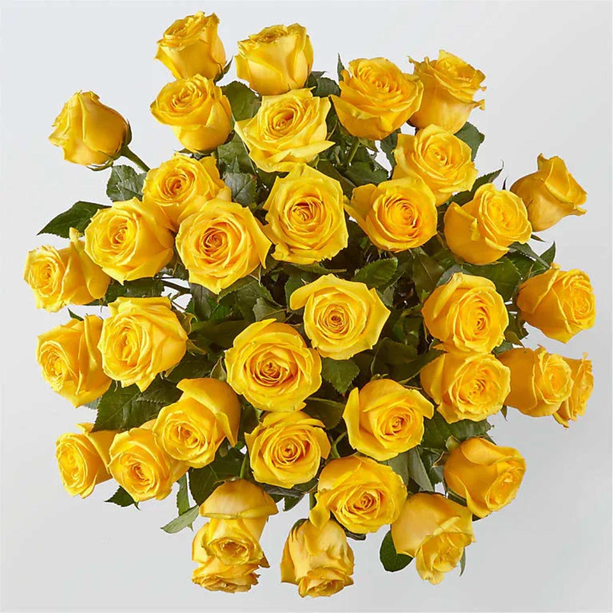 Bouquet of yellow roses with green foliage