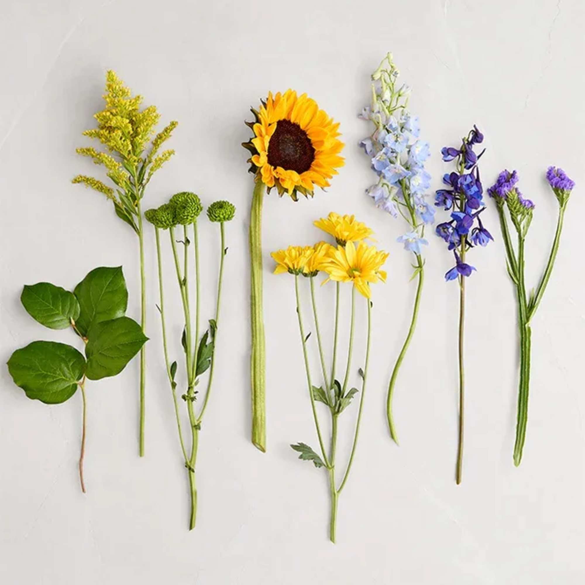 Assorted cut flowers and greenery laid out on a white background