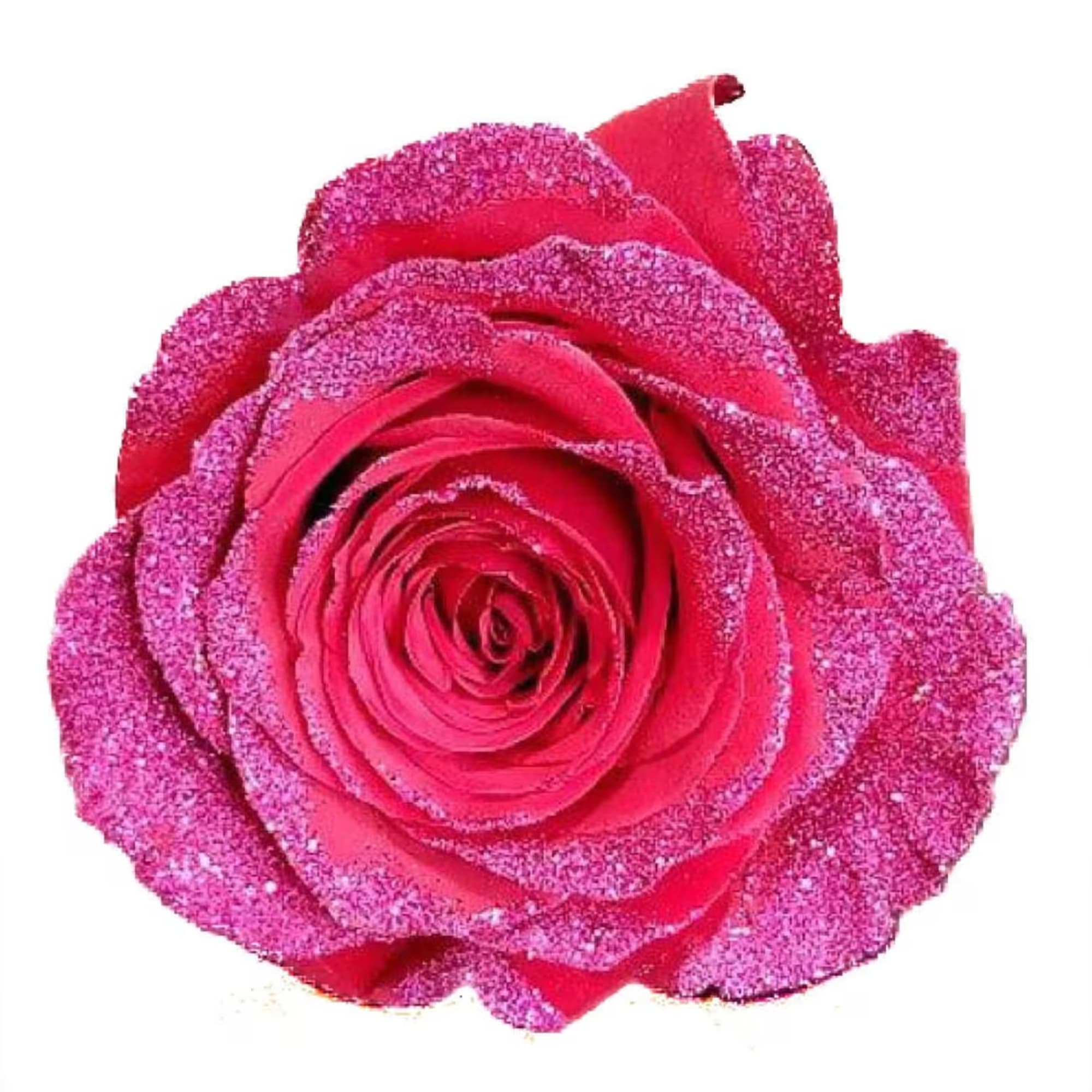 Single pink glitter-covered rose on a white background