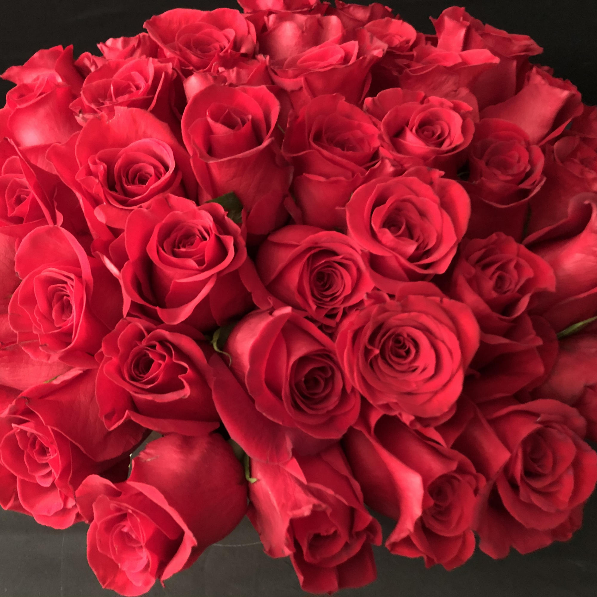 Large bouquet of red roses on a dark background