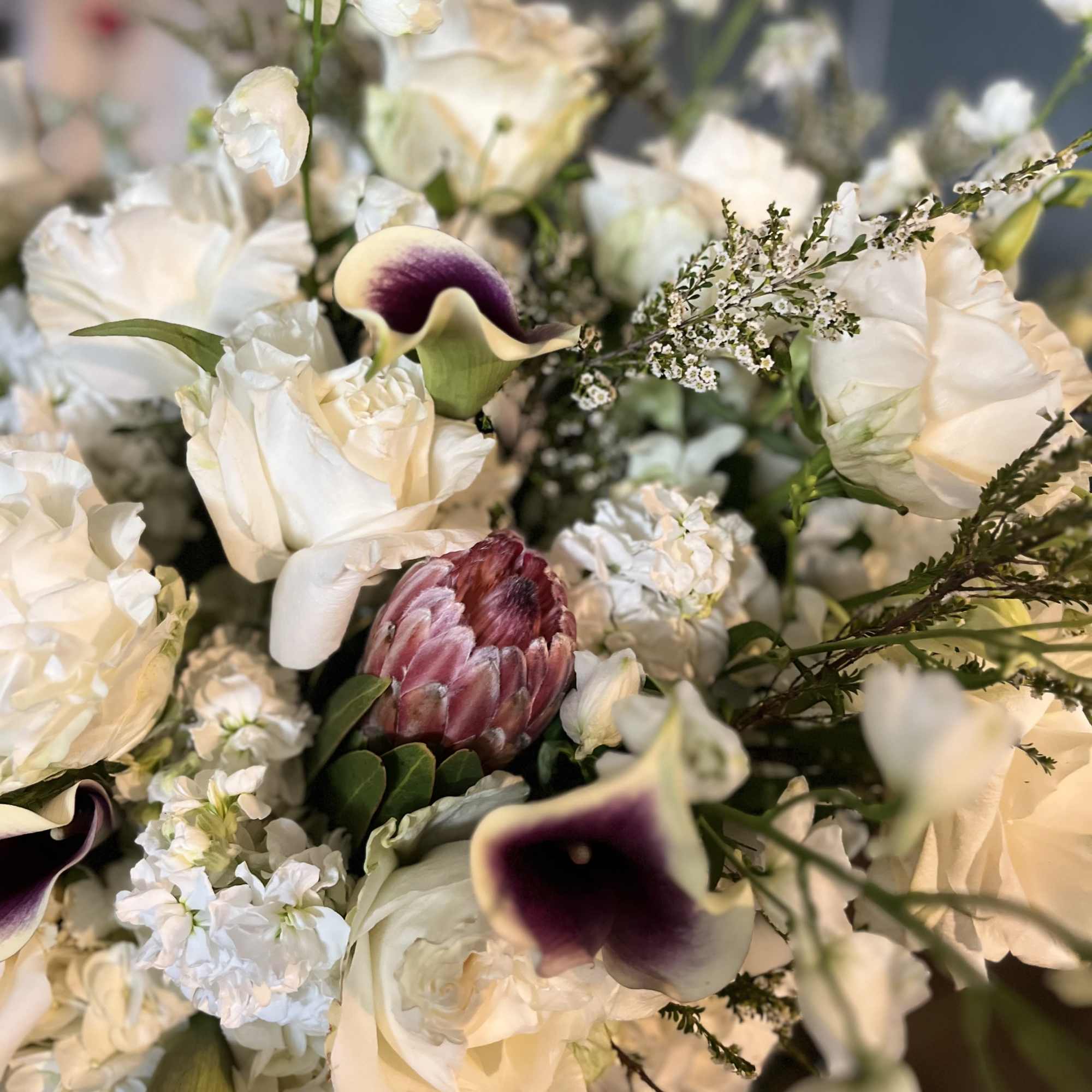 White roses and purple calla lilies in a mixed bouquet