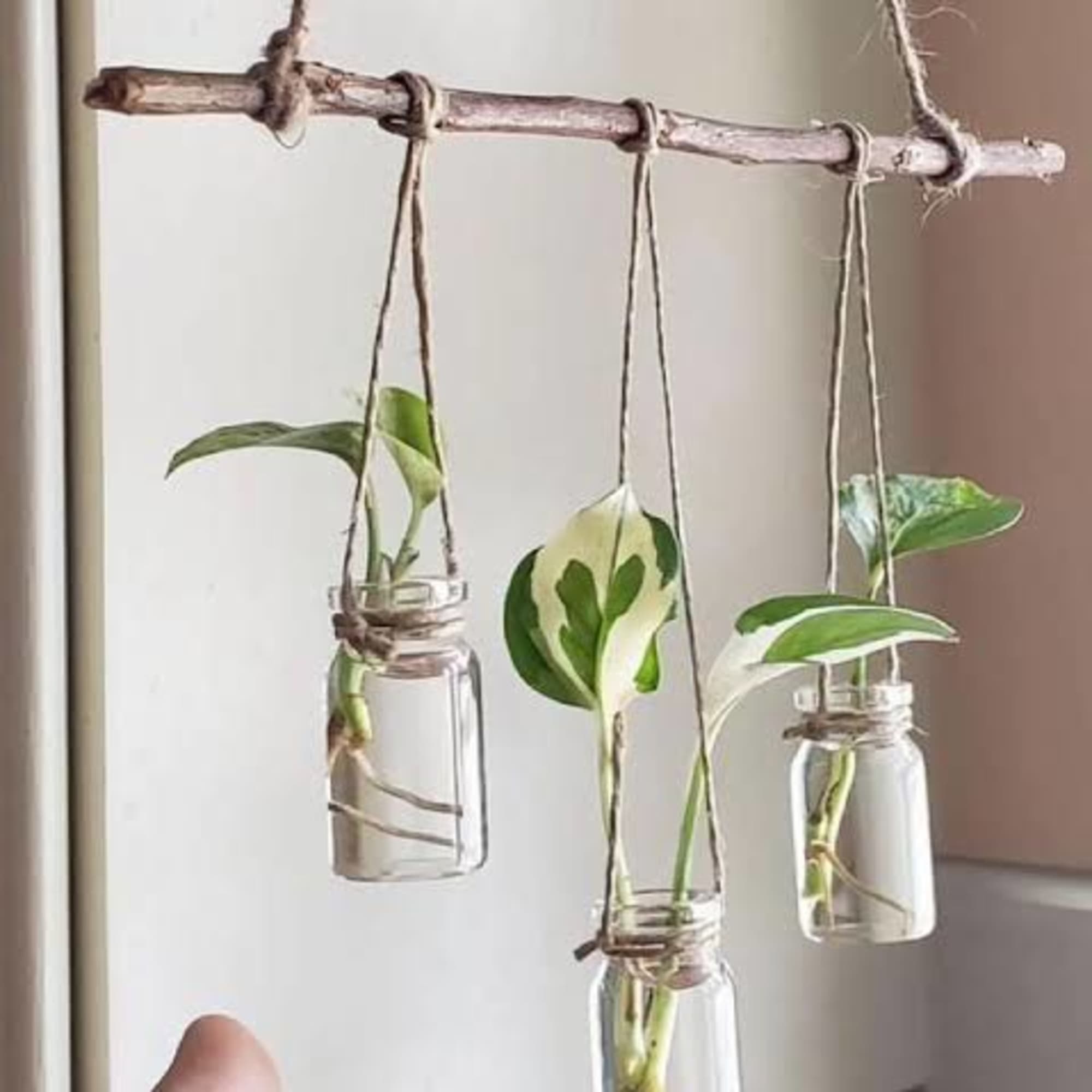 Join us for a fun, hands-on evening learning the art of plant, photo 2 of 2