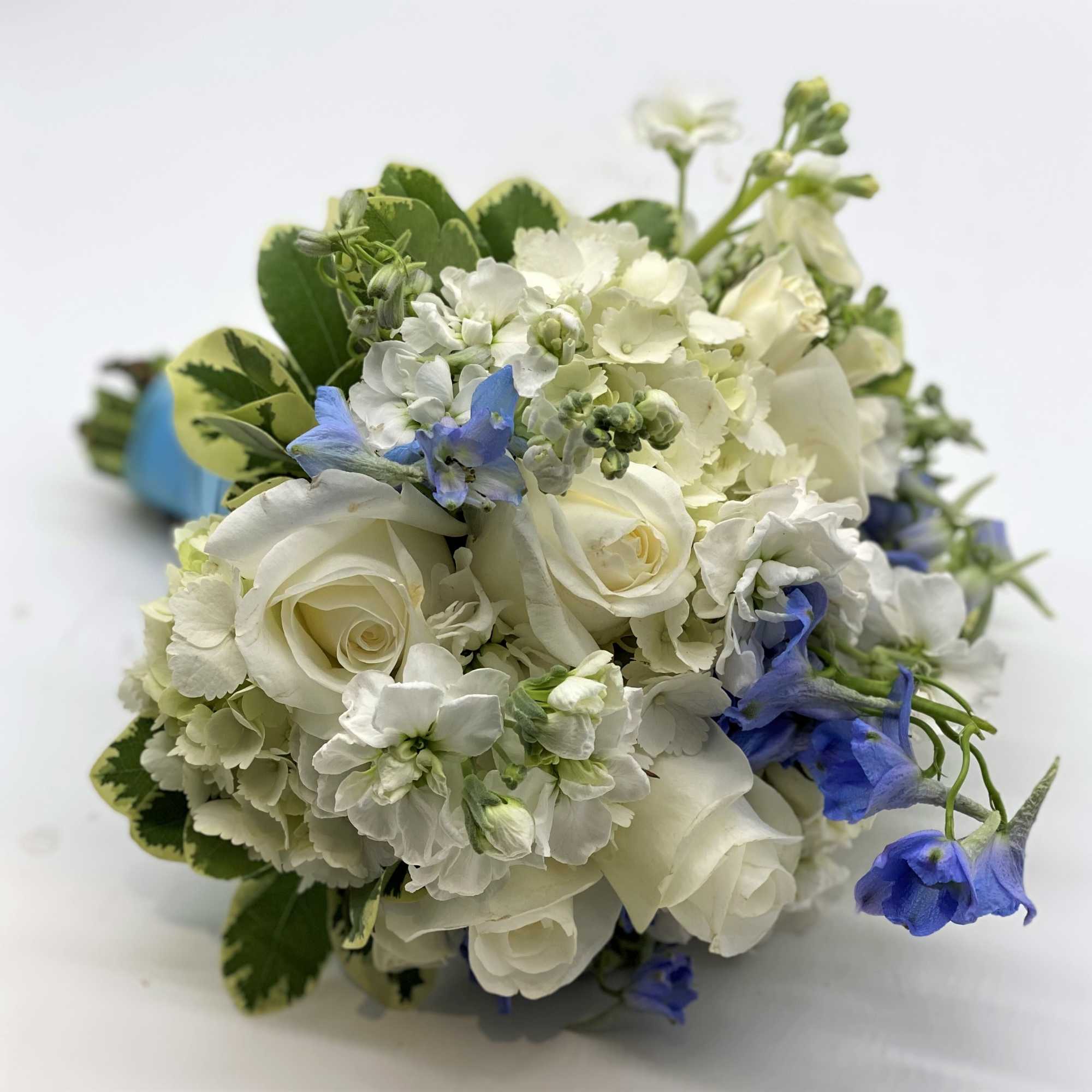 White mix with light blue accents!