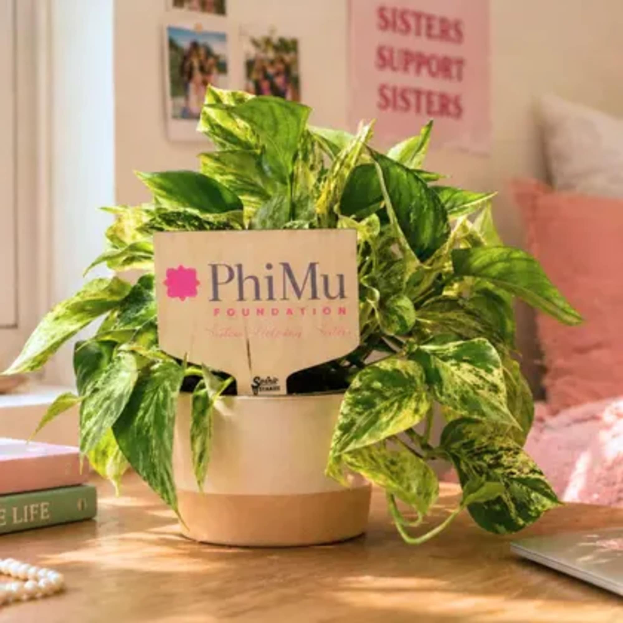 A cheerful Phi Mu motto decorative plant stake makes a warm, membership-focused, photo 2 of 2