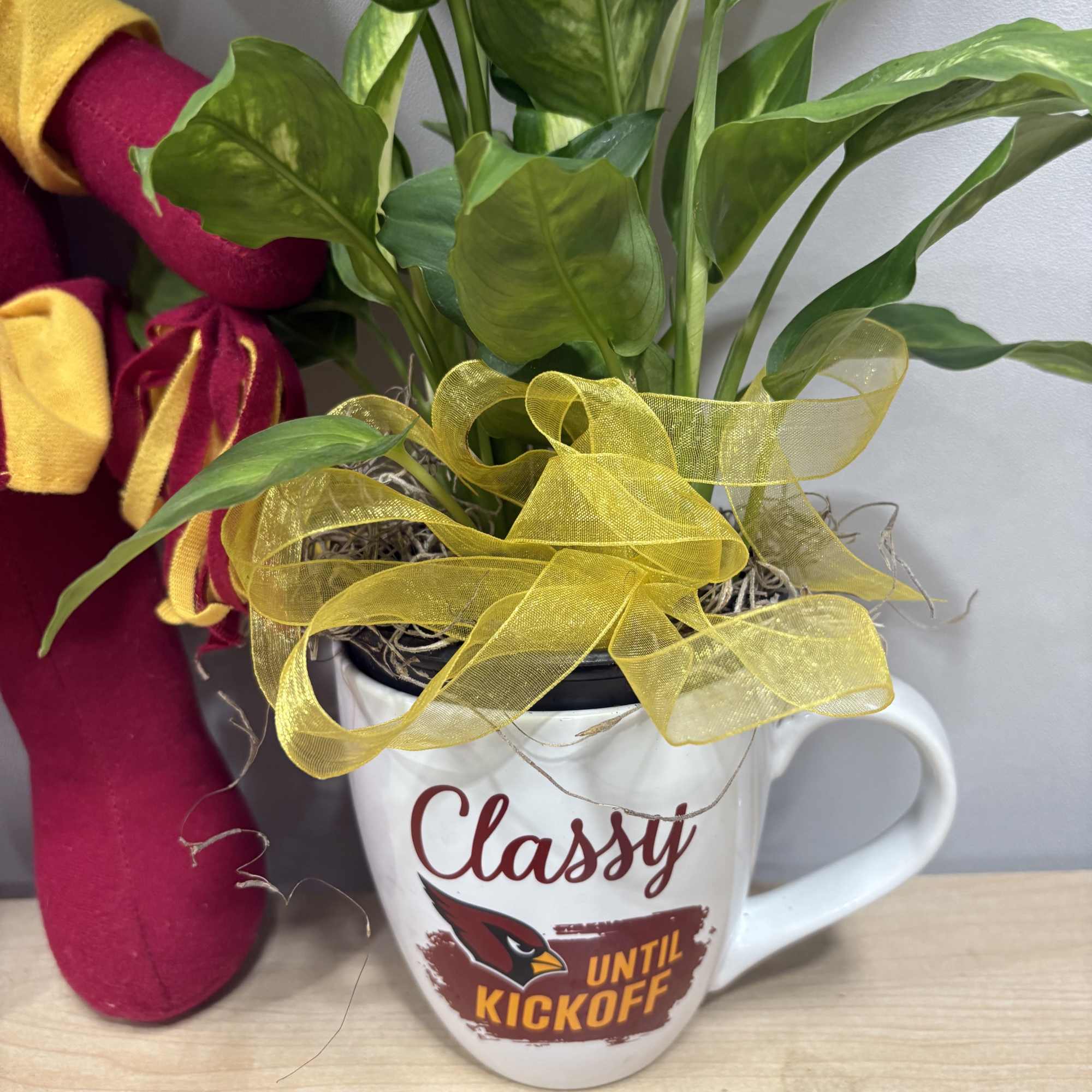 Potted green plant in a white mug with a yellow ribbon