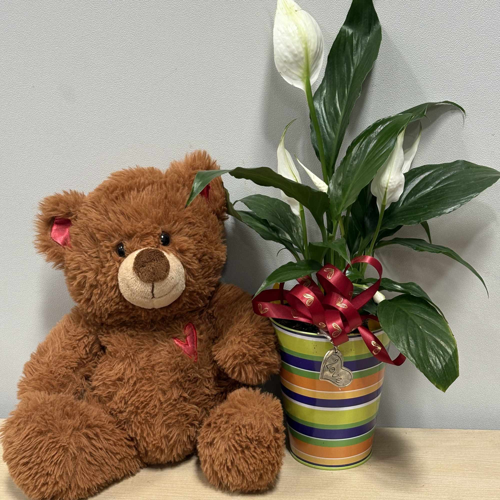 Teddy bear beside a potted peace lily with a ribbon