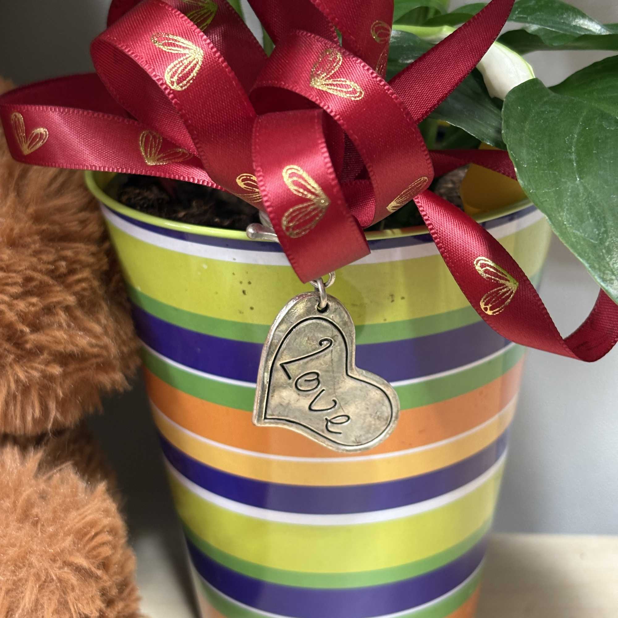 Potted plant with a red ribbon and heart charm in a striped container