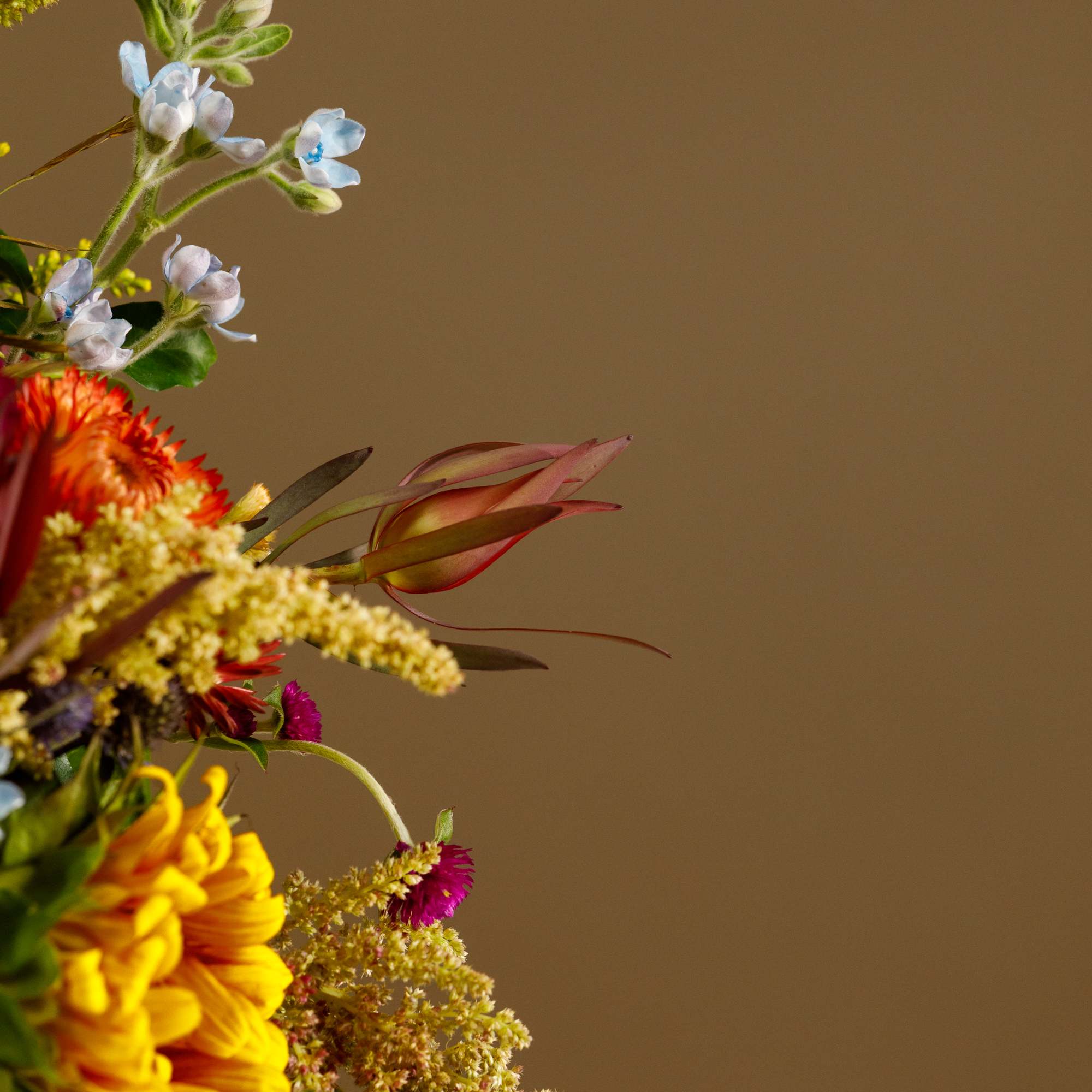 Colorful mixed bouquet with yellow, orange, pink, and blue flowers