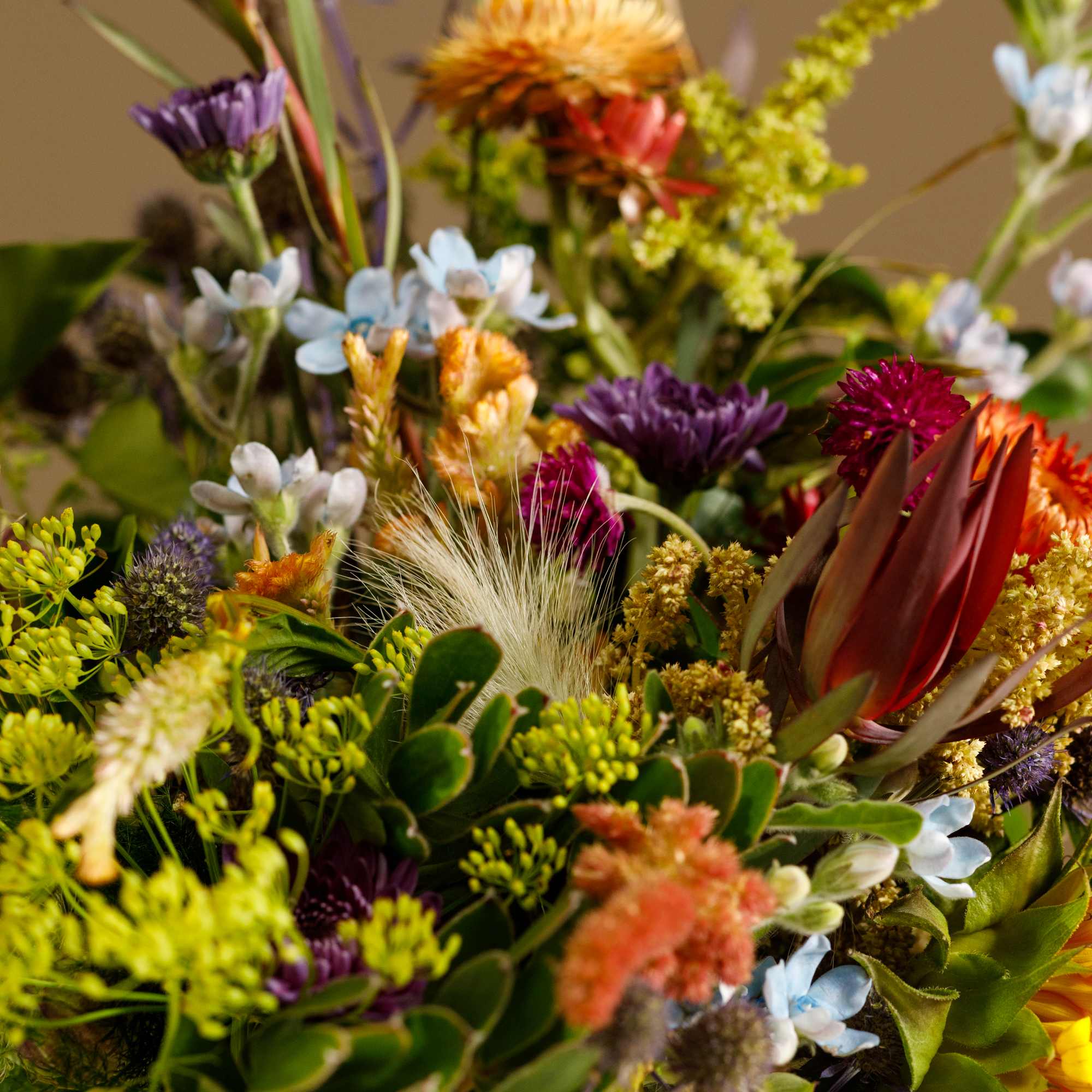 Mixed bouquet with orange, purple, white, and yellow flowers