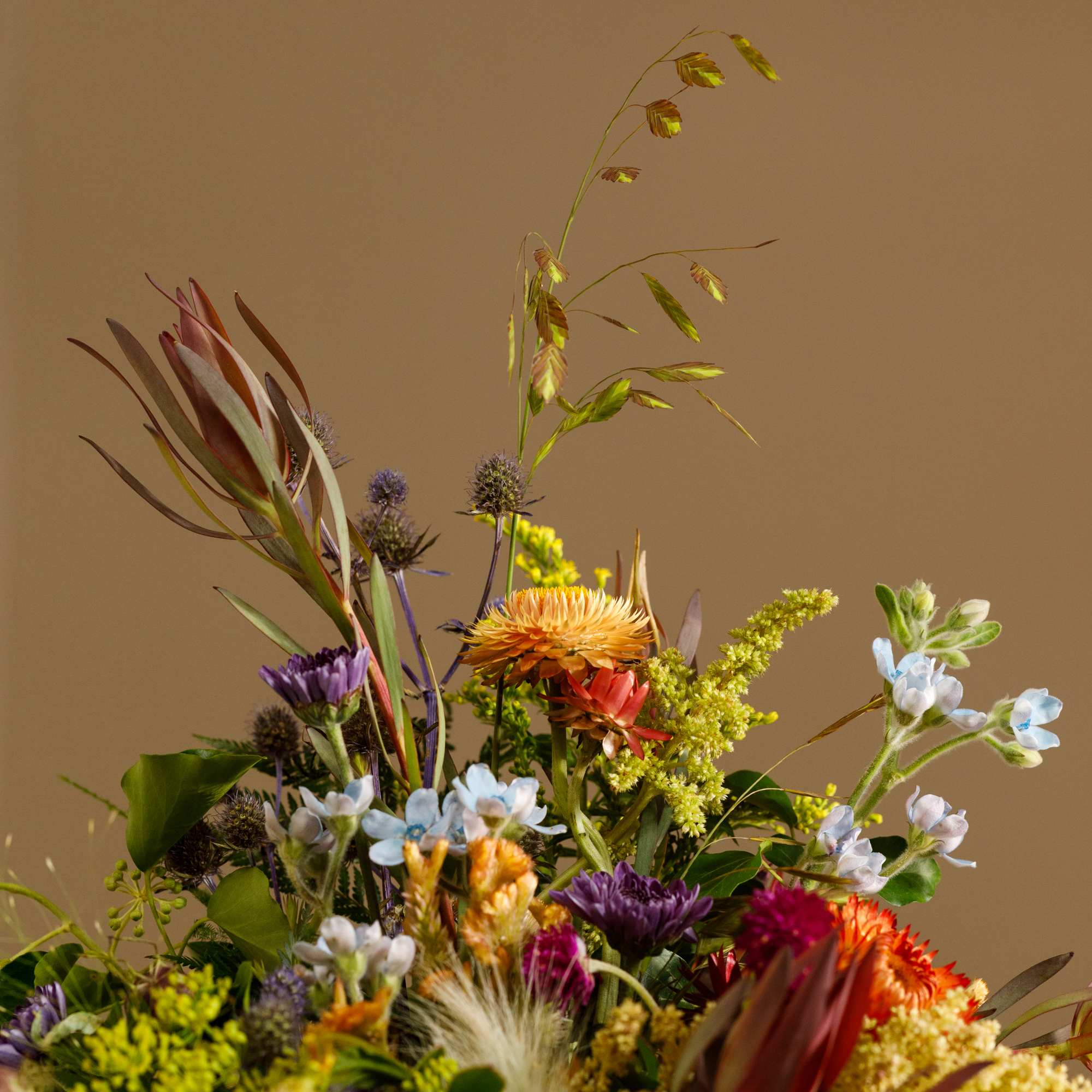 Mixed bouquet with orange, purple, yellow, and blue flowers