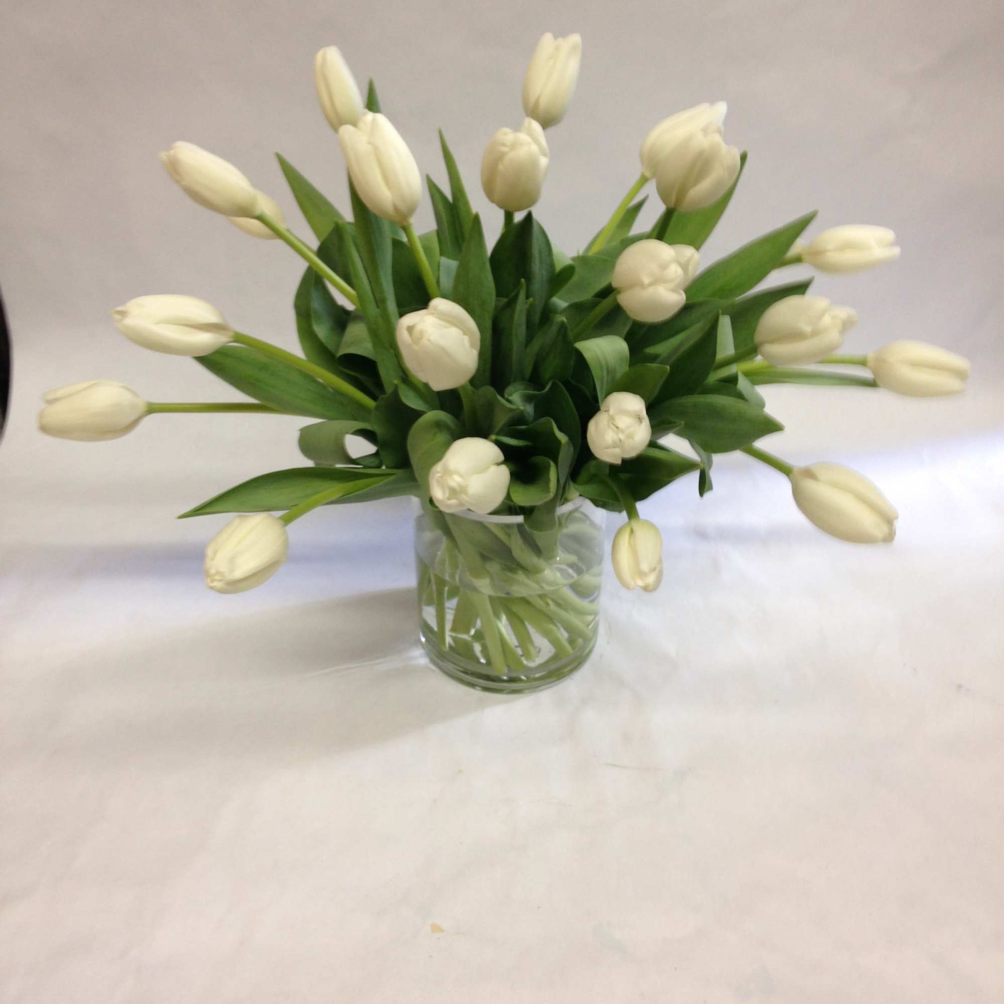White tulips arranged in a clear glass vase